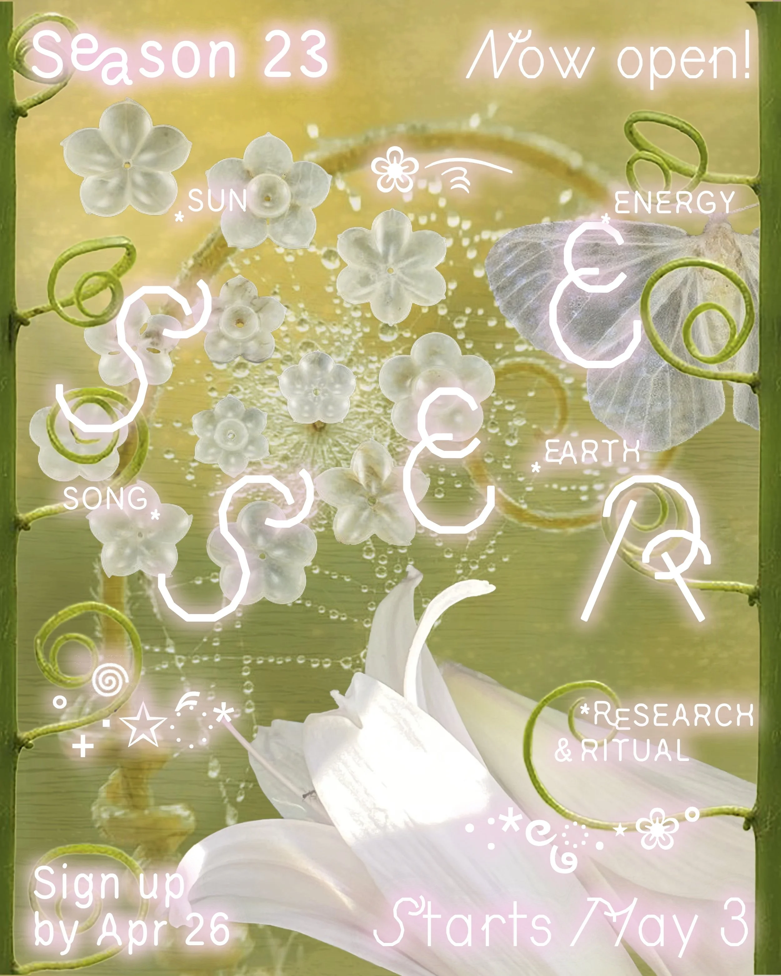 SSEER Flyer 1.jpg
