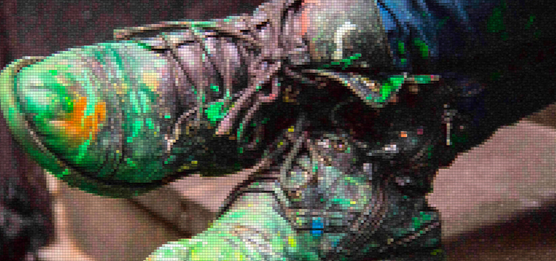 shoes.jpg