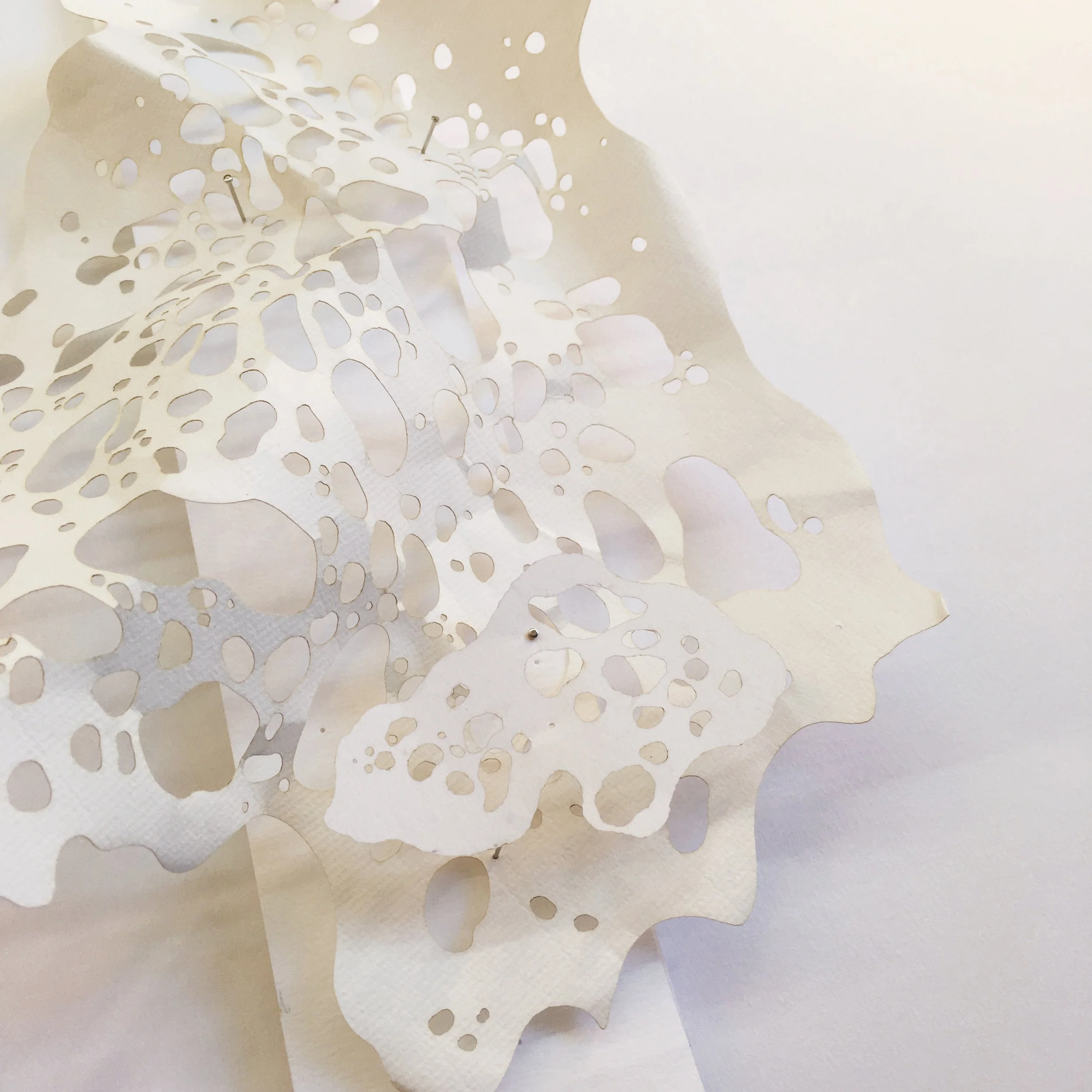 IMG_6927 (phone quality).JPG