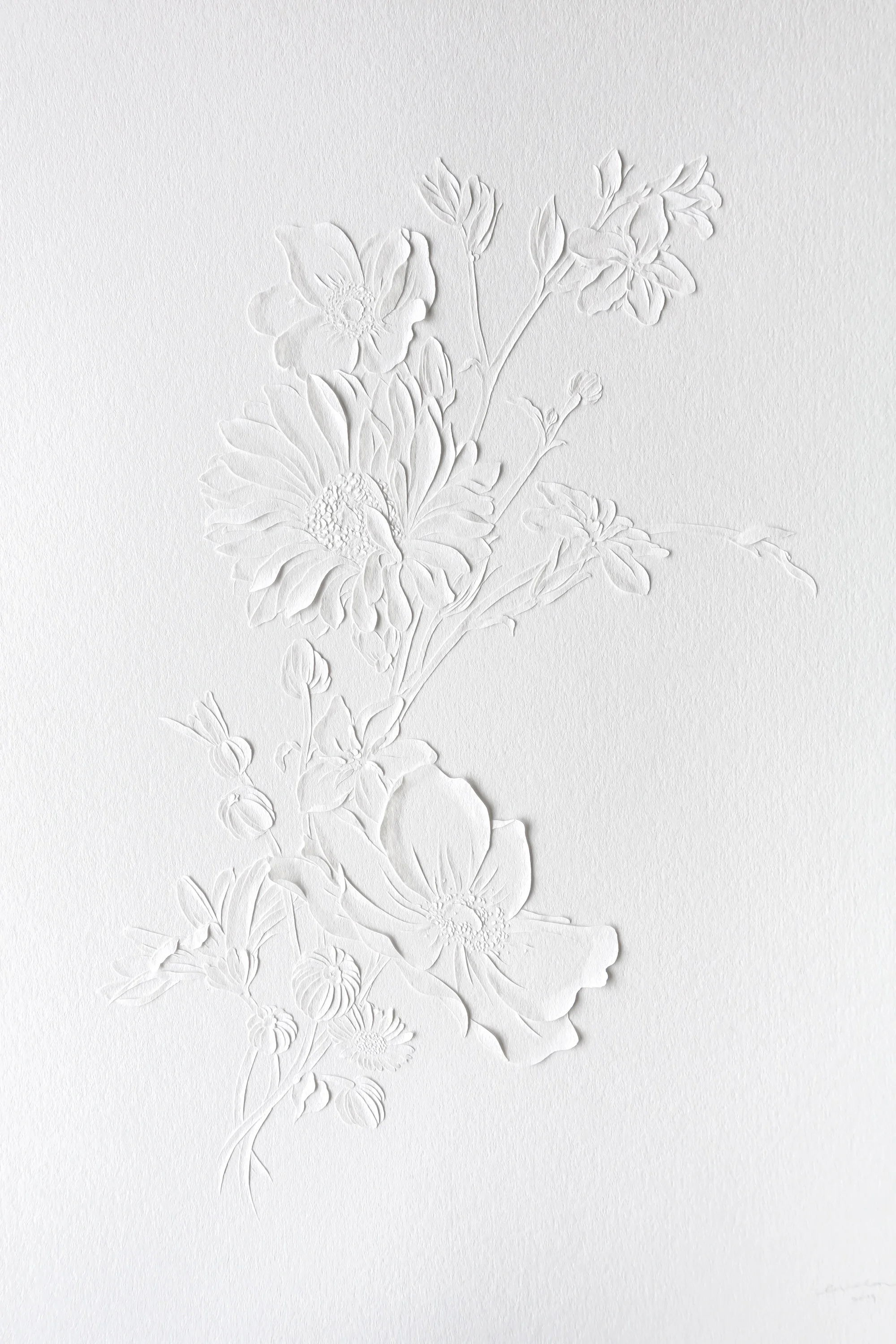 Wildflowers_CeresLau_01