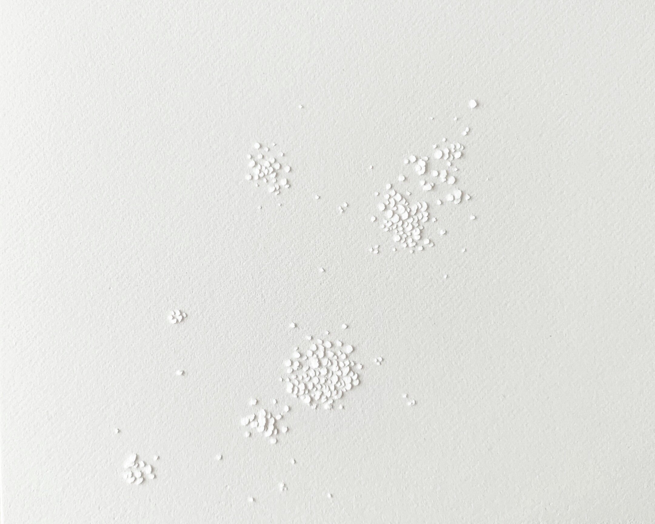 Natures+Poetry_Ceres+Lau_02