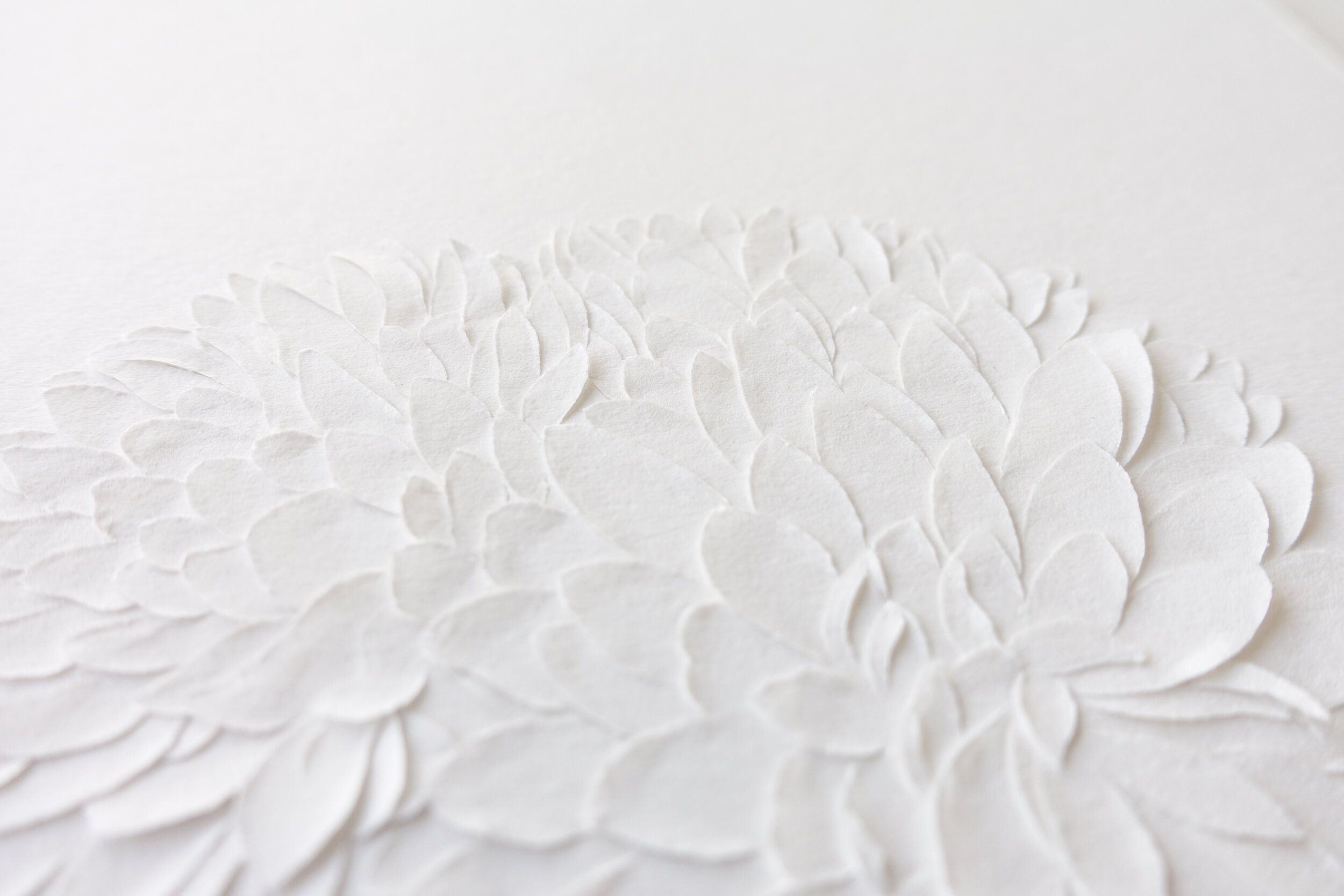 Chrysanthemums_CeresLau_02