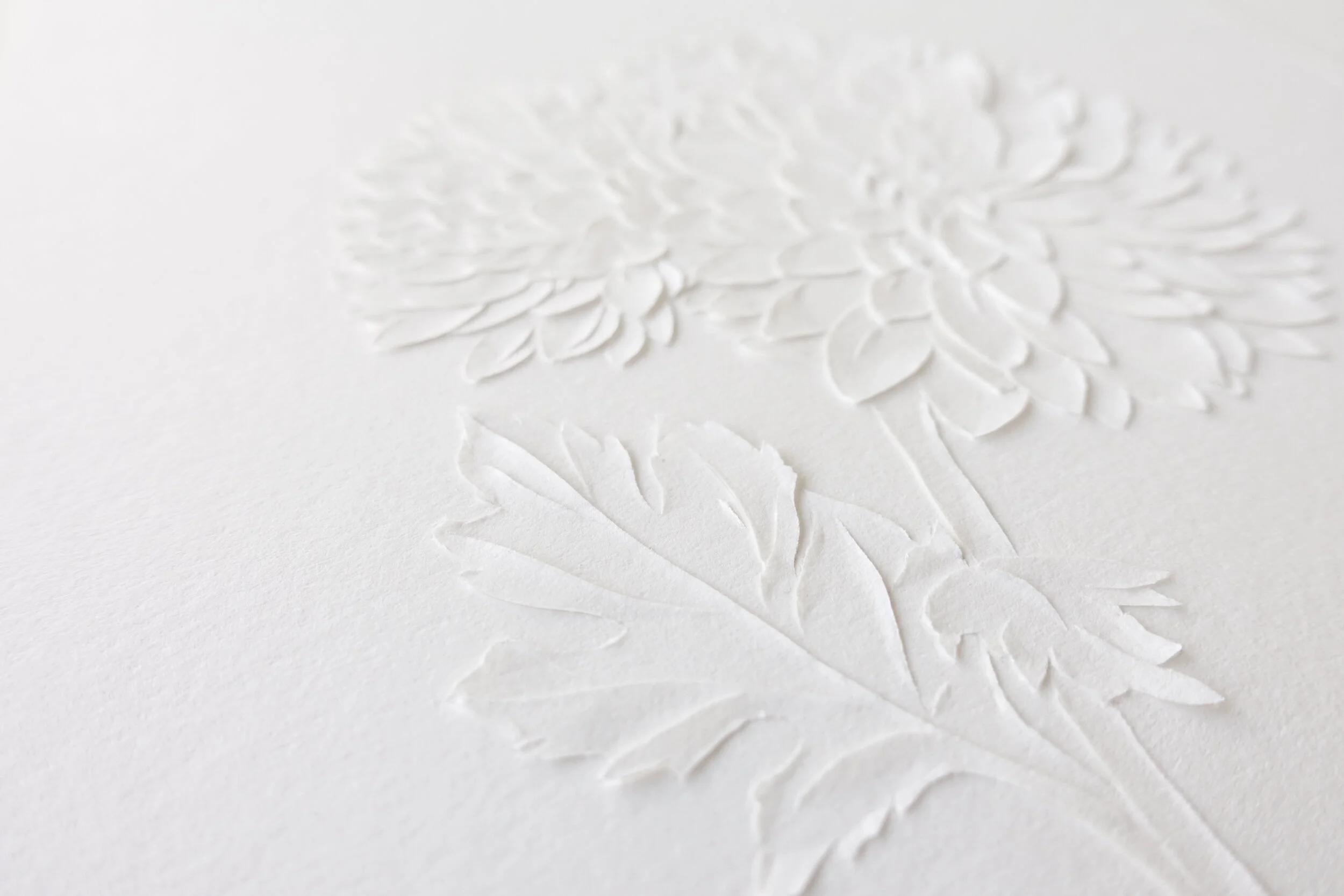 Chrysanthemums_CeresLau_03