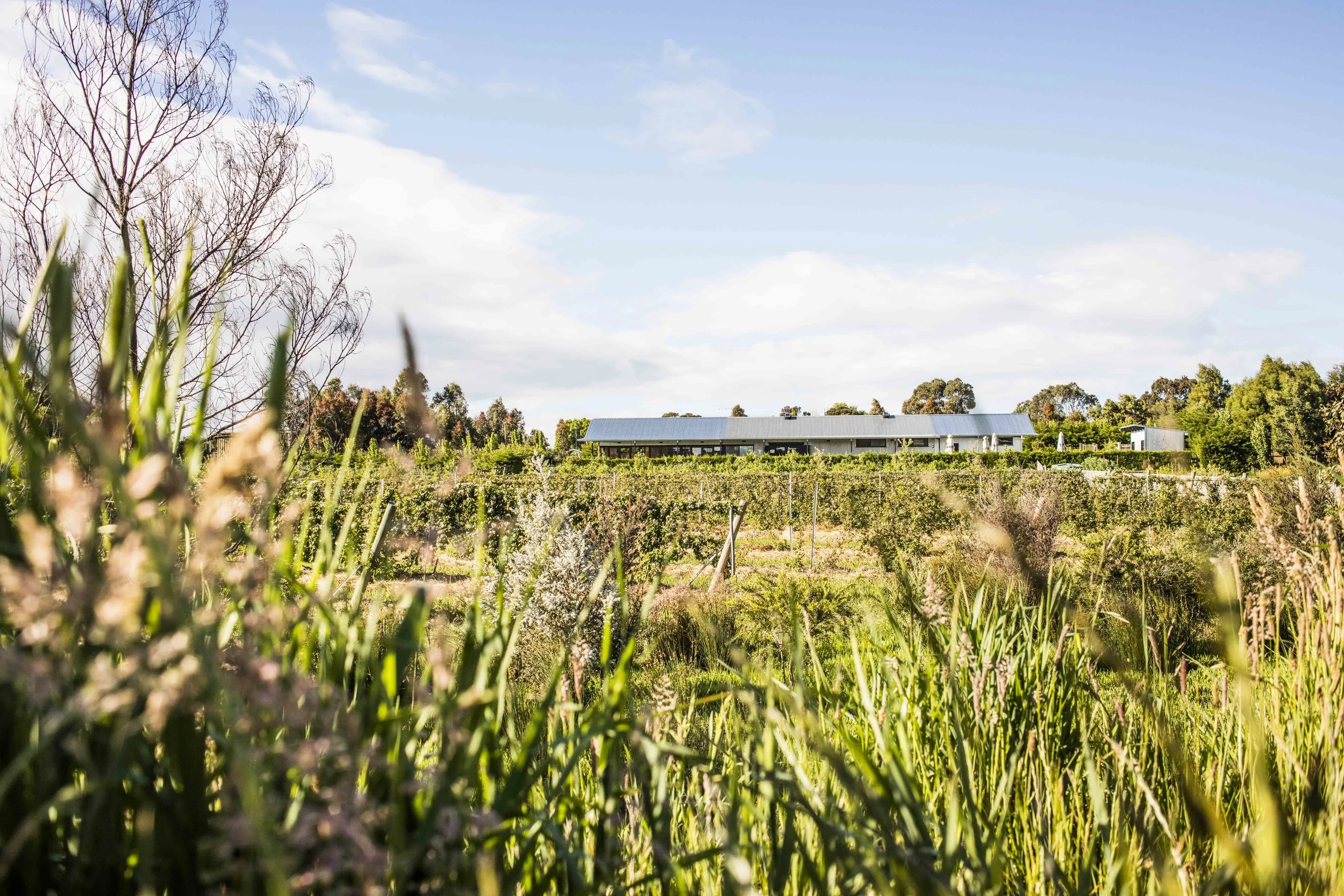 ravens creek cafe.JPG