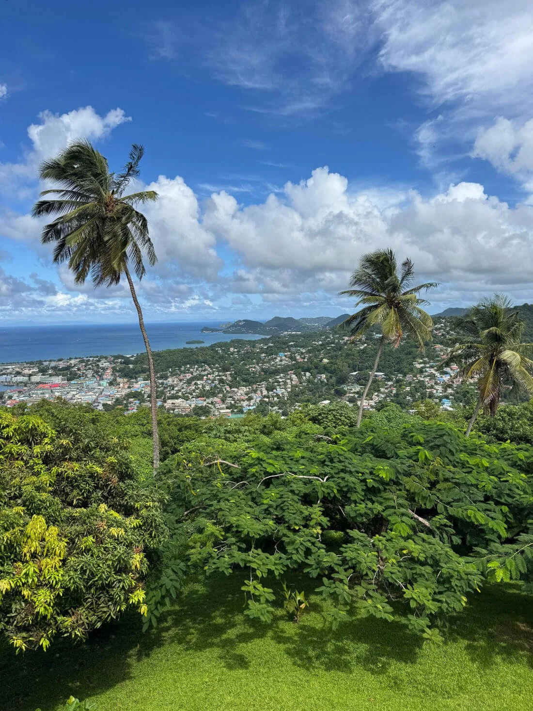 st-lucia-3.jpg