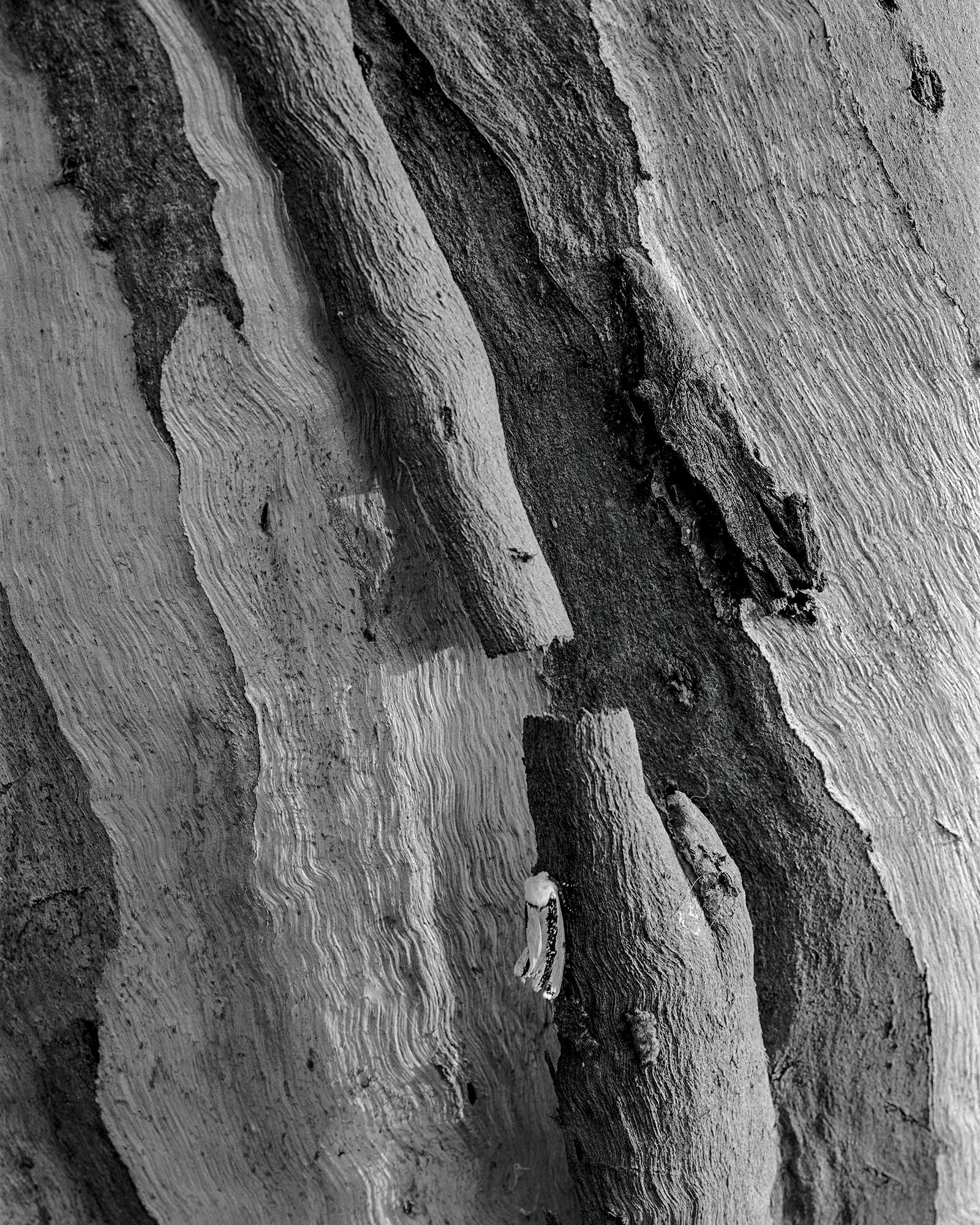 Image 3 (5) as Smart Object-1.jpg