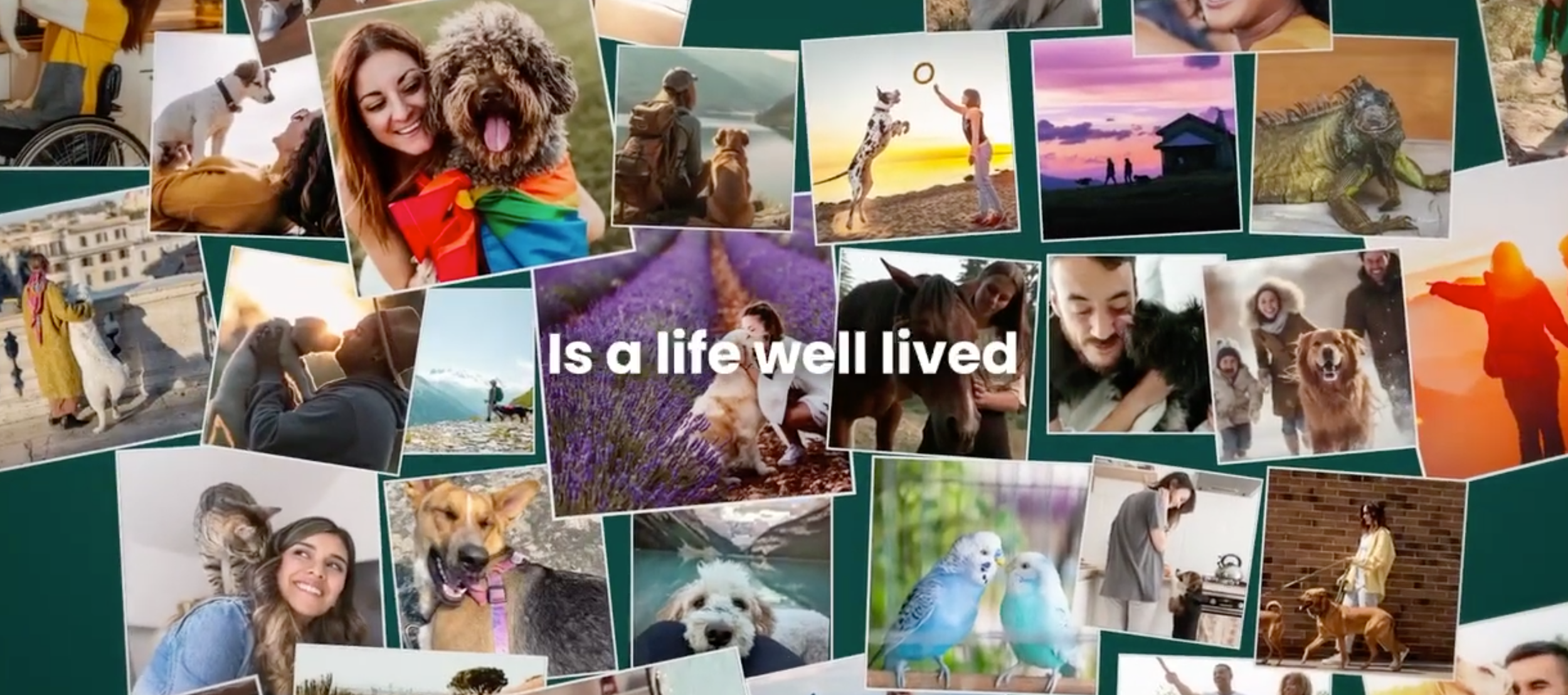 Screenshot 2026-04-23 at 00.18.46.png