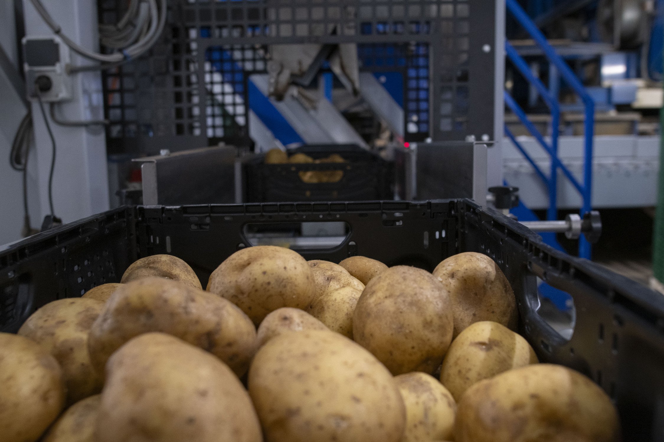 11_Eqraft_Quiks_Potatoes_Combinatie_Weger_Krattenvuller_Dozenvuller_Baxmatic_Zakkenvuller_Naaistraat_Aardappelen_Verpakkingslijn_Inpaklijn_NC1_5403.jpg