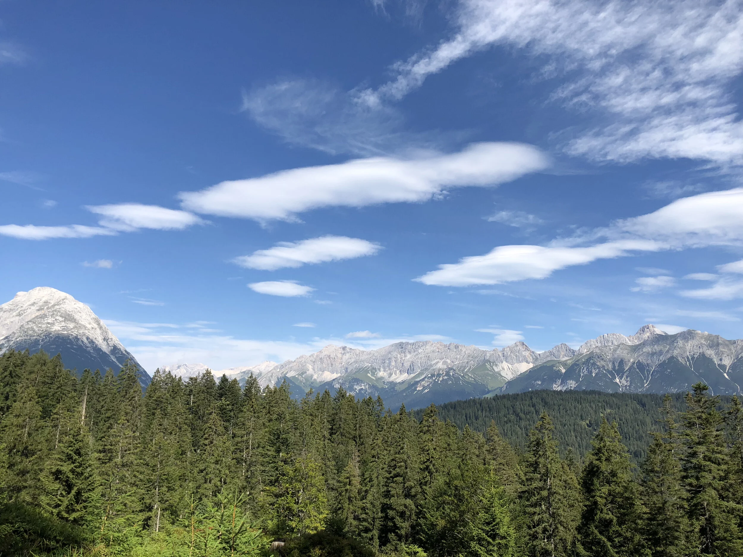 IMG_1377.jpeg