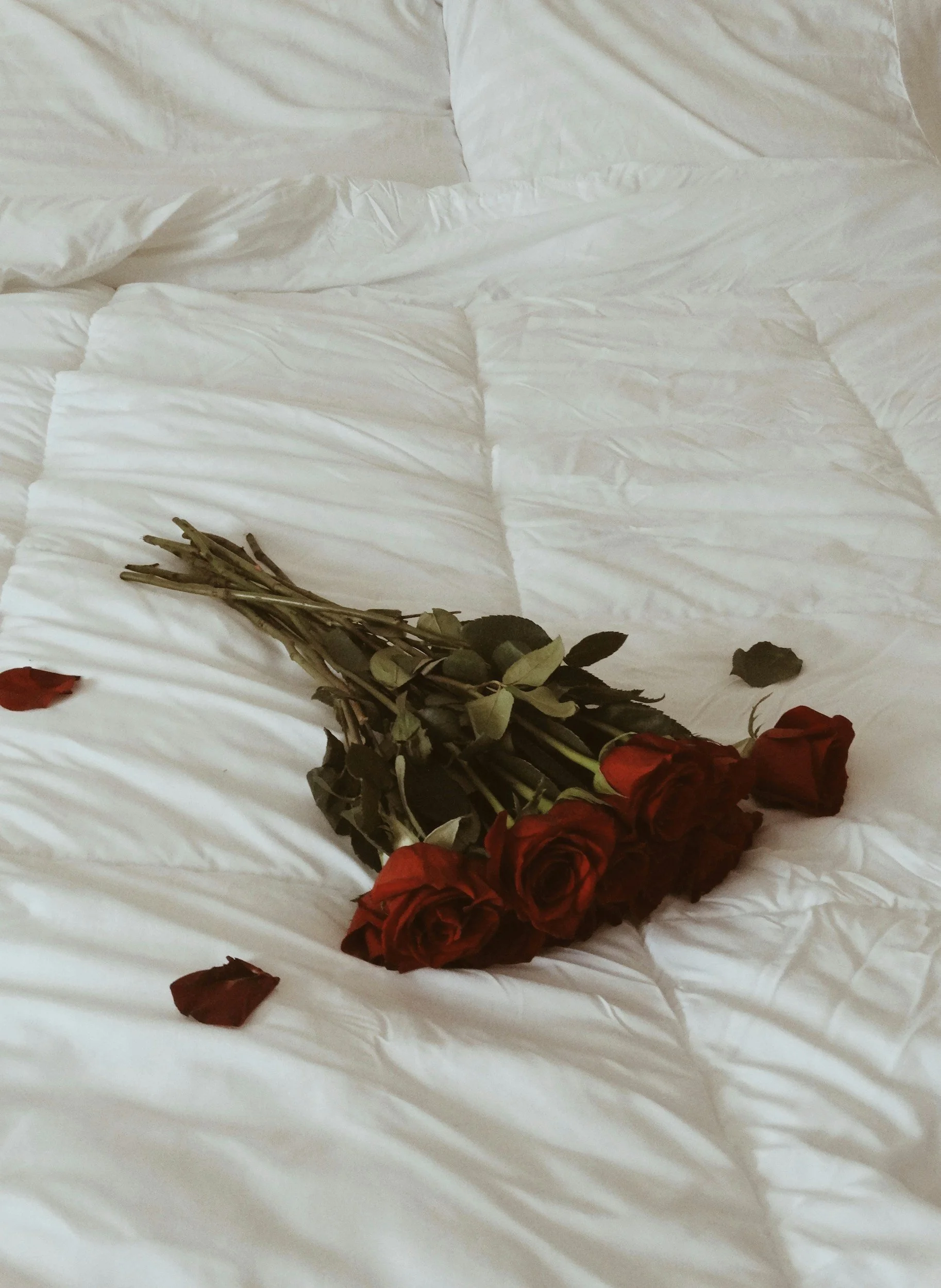 unsplash-image--3v3QYpOHy4.jpg