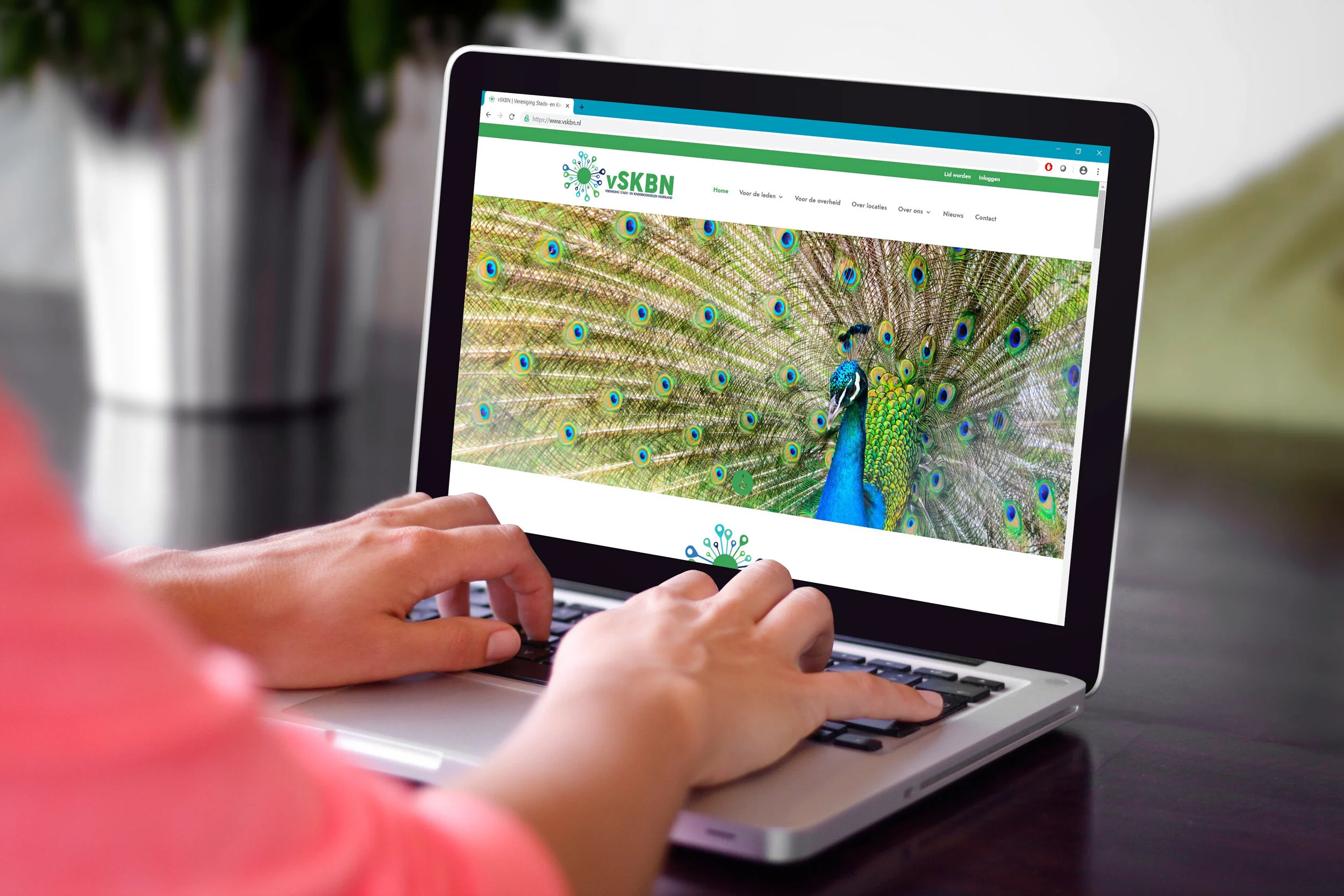Mockup website.jpg