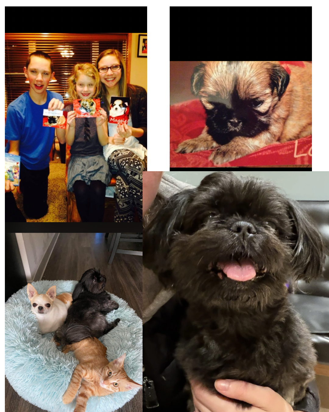 Loving Through Another Chapter