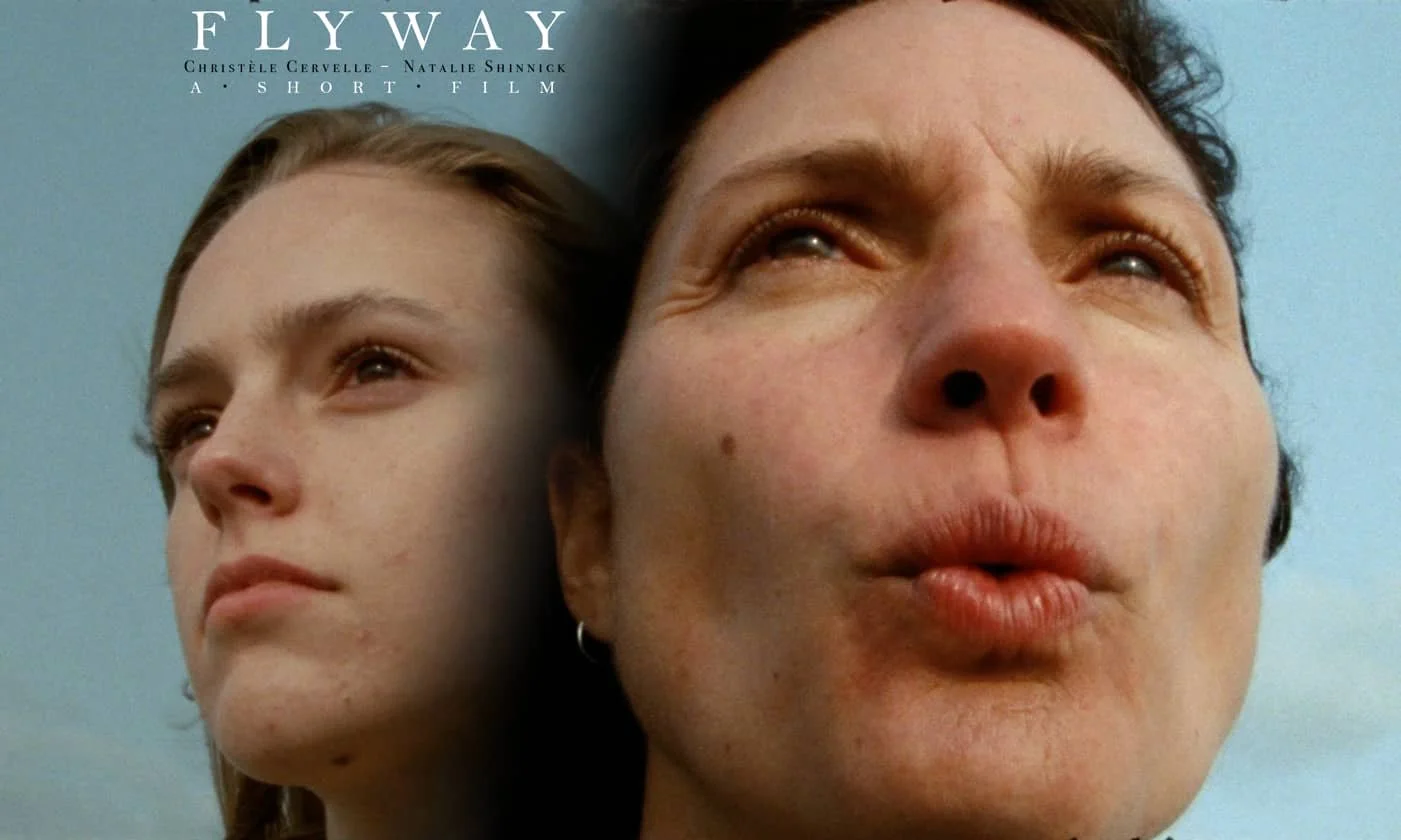 Flyway poster 2.jpeg