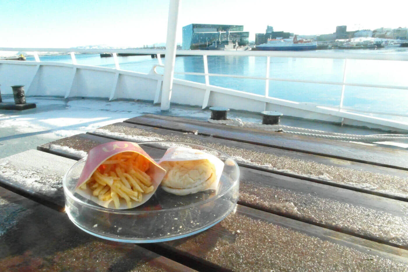 McDonalds-Burger-Harpa-Reykjavik-Iceland.jpg