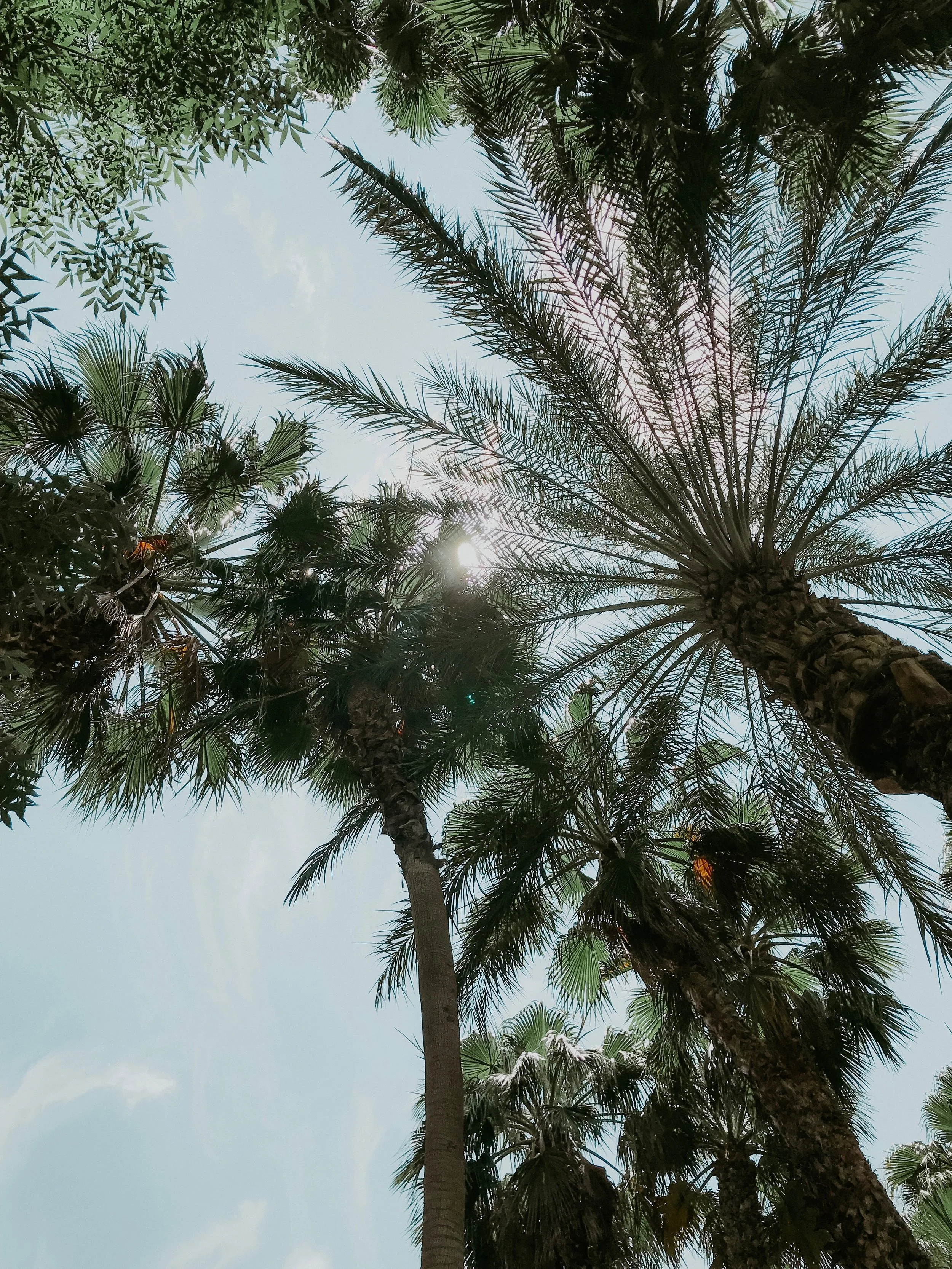 welcome to psithurism.