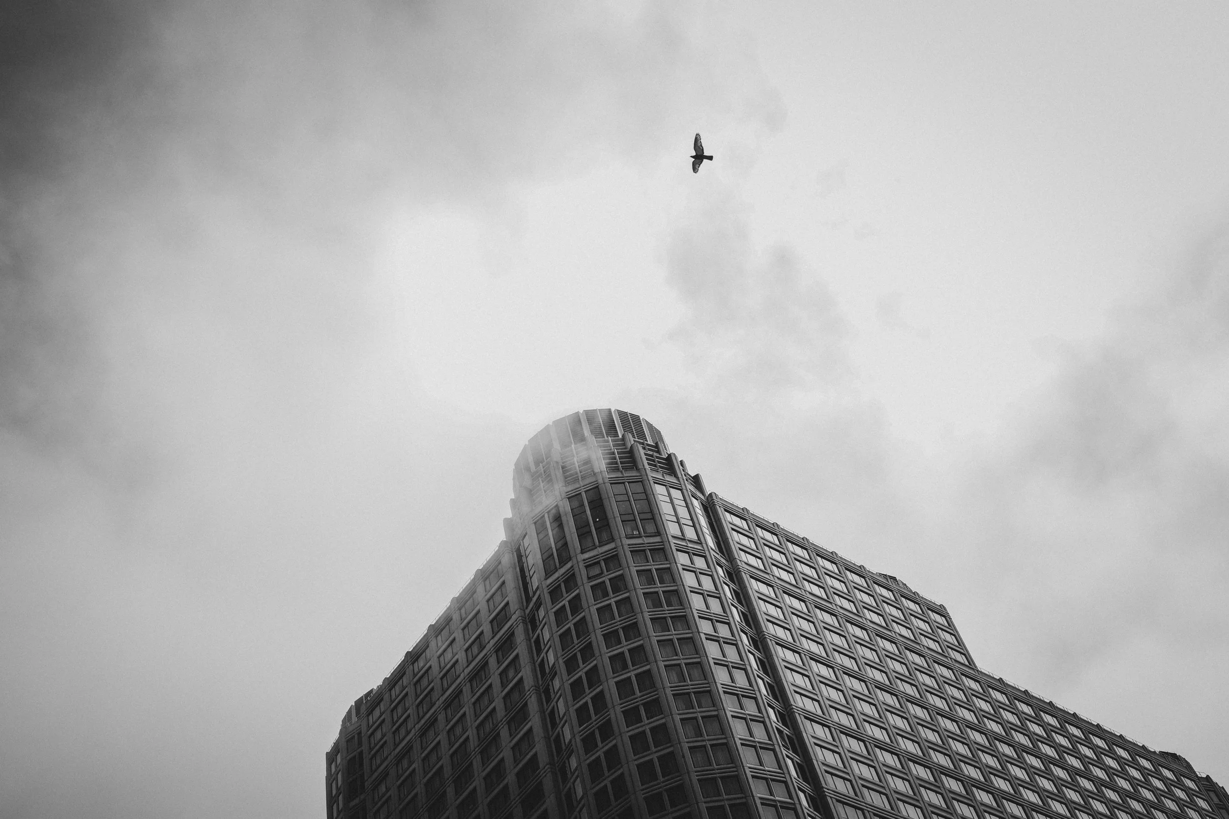 Chicago 2024-146.jpg