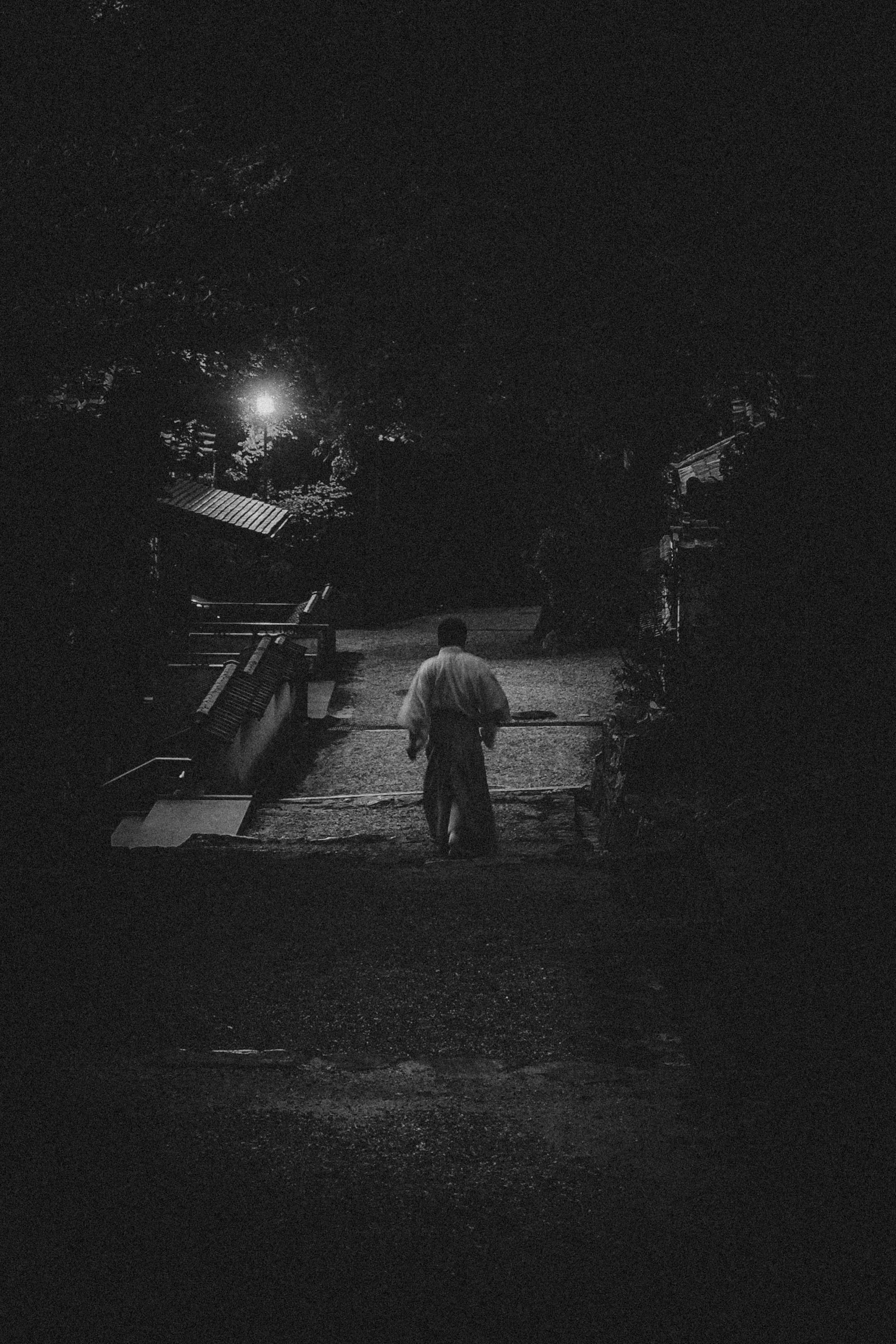 Kyoto Night Adventures-25.jpg