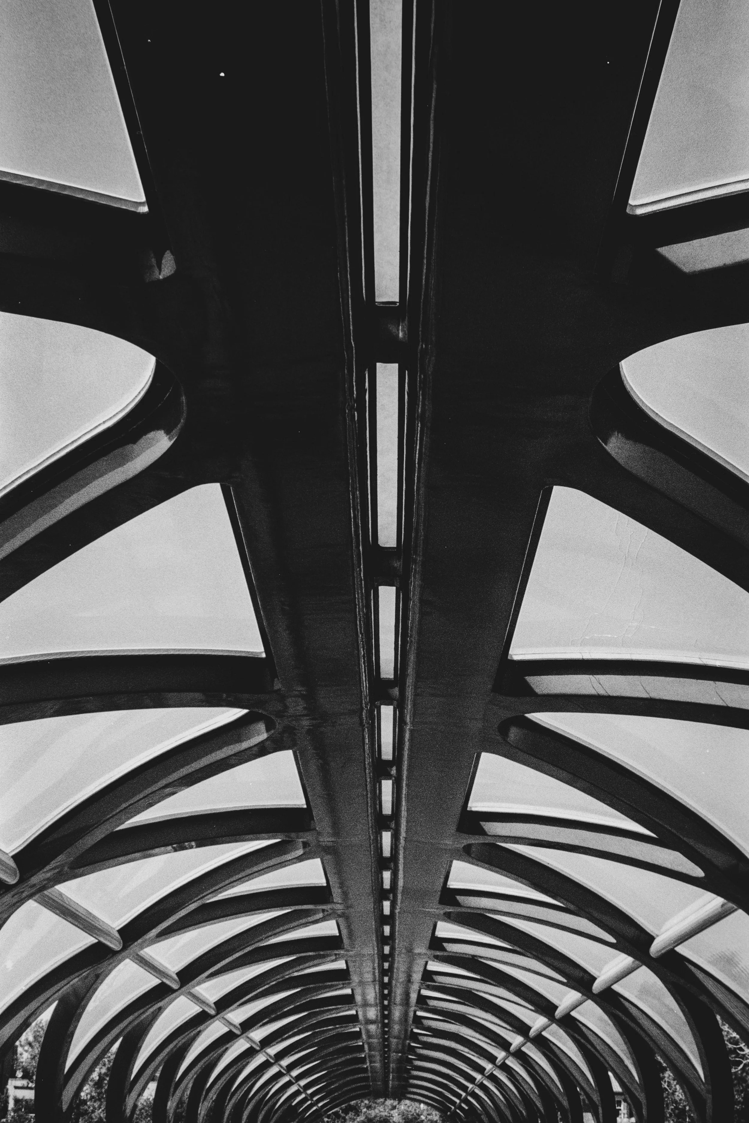 Downtown 35mm Sept 2024-8.jpg