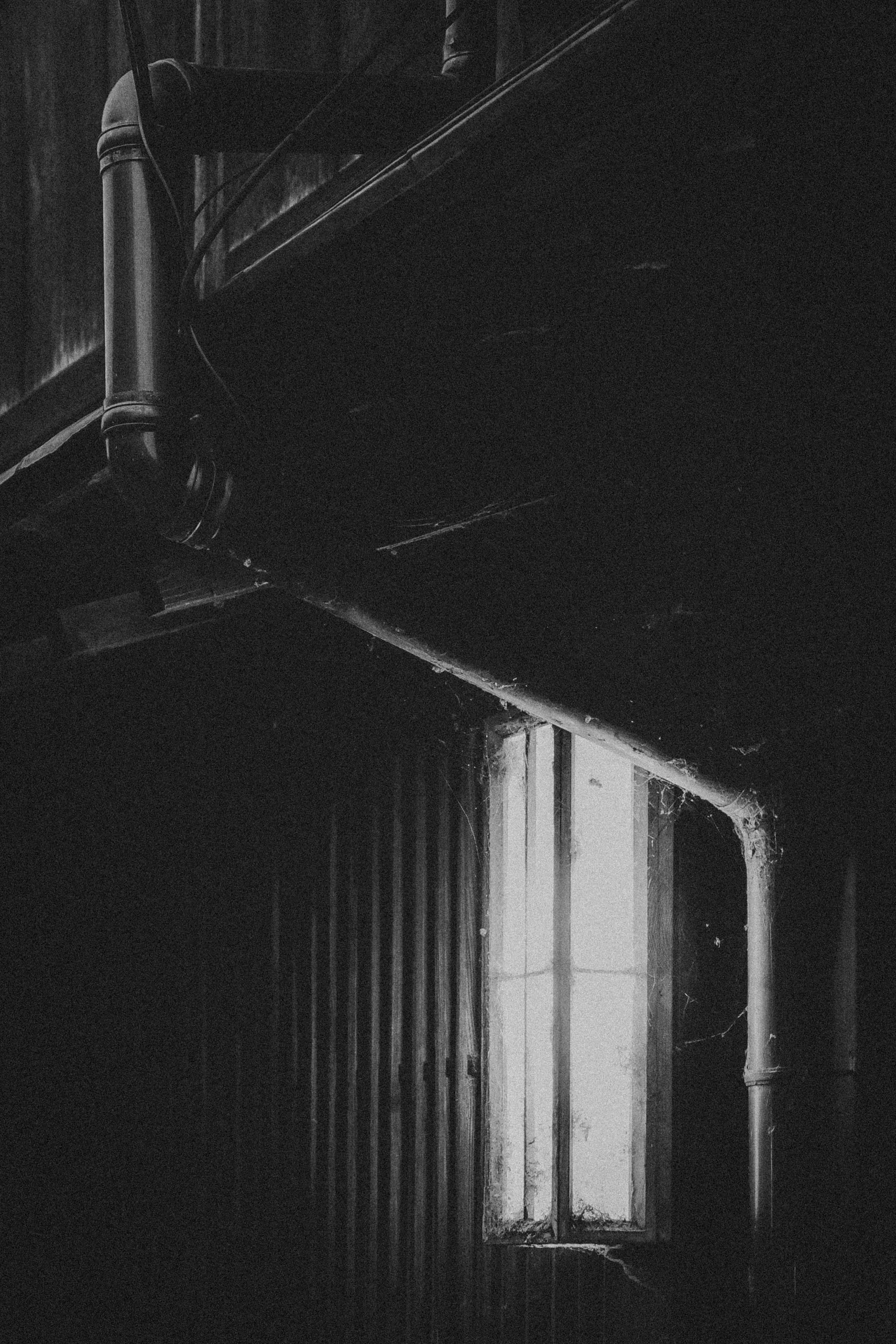 Kyoto Night Adventures-1.jpg