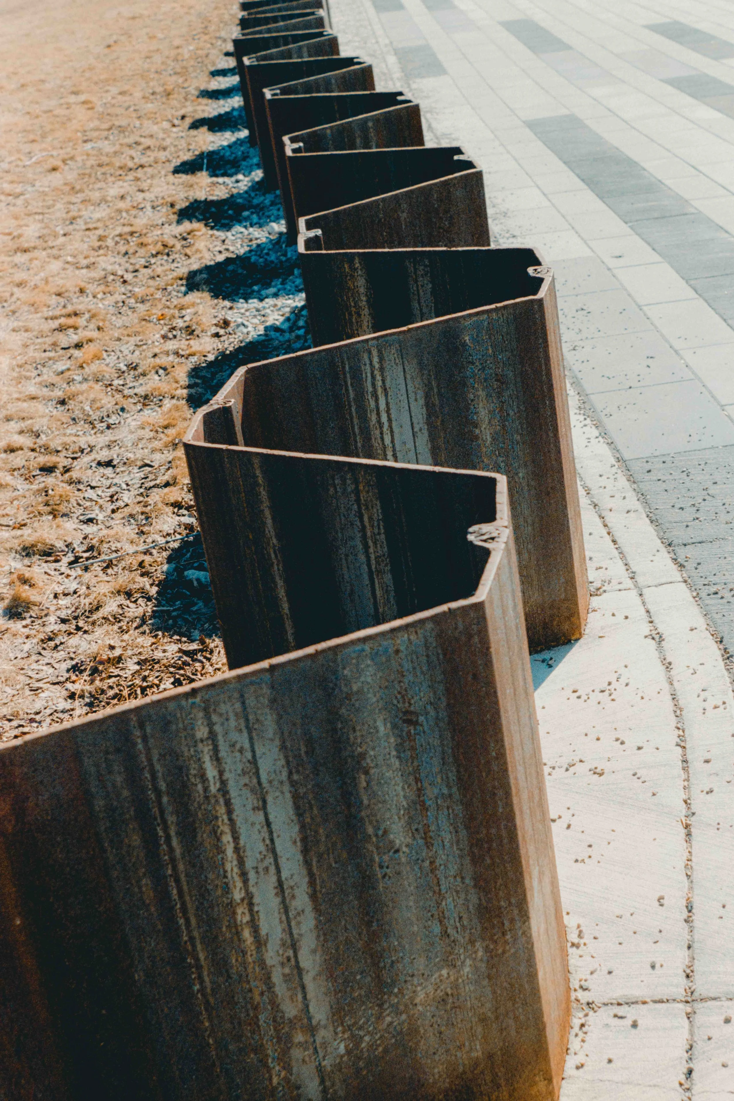 Alcove March Photo Walk Film-12.jpg