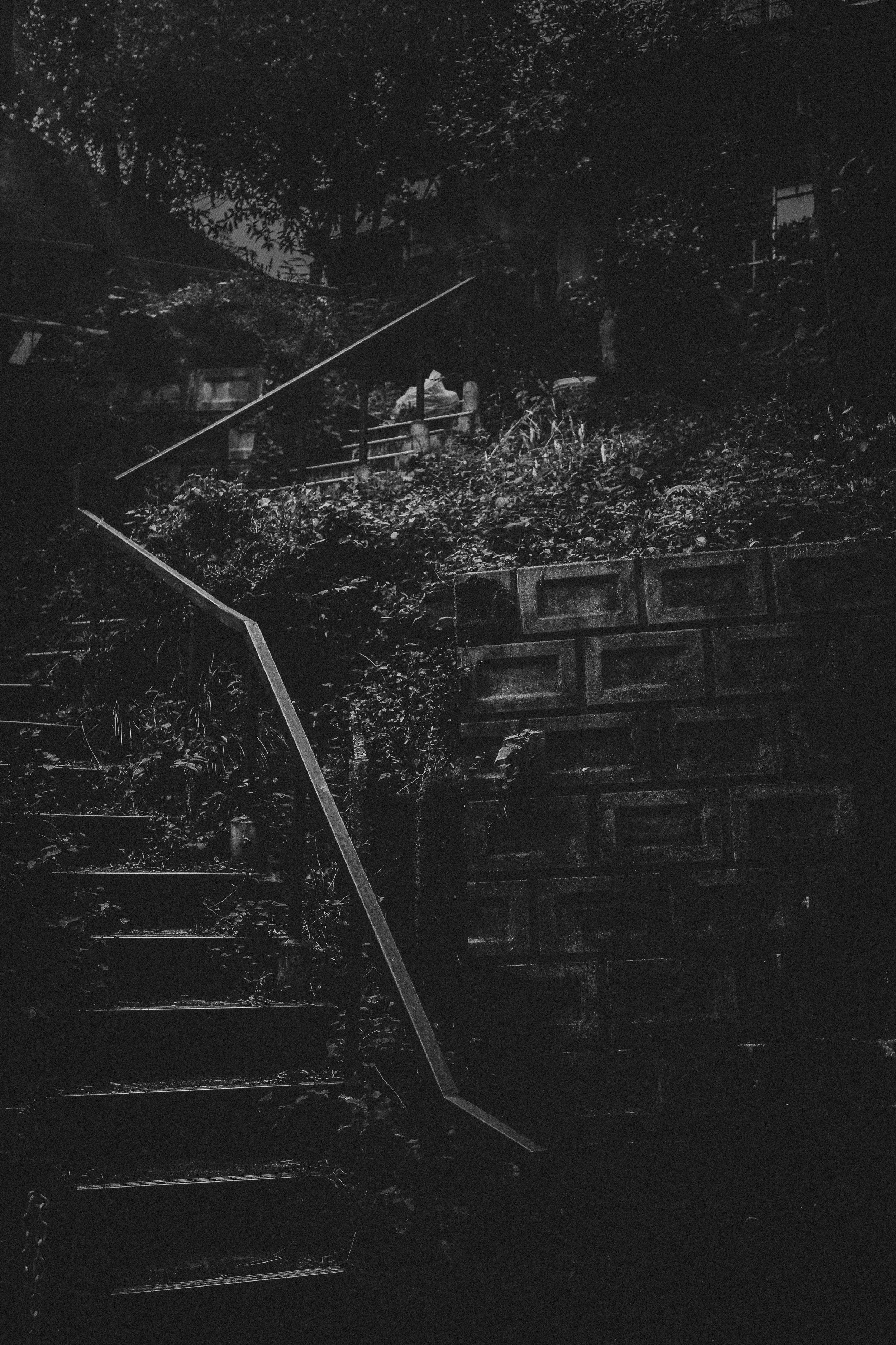 Kyoto Night Adventures-7.jpg