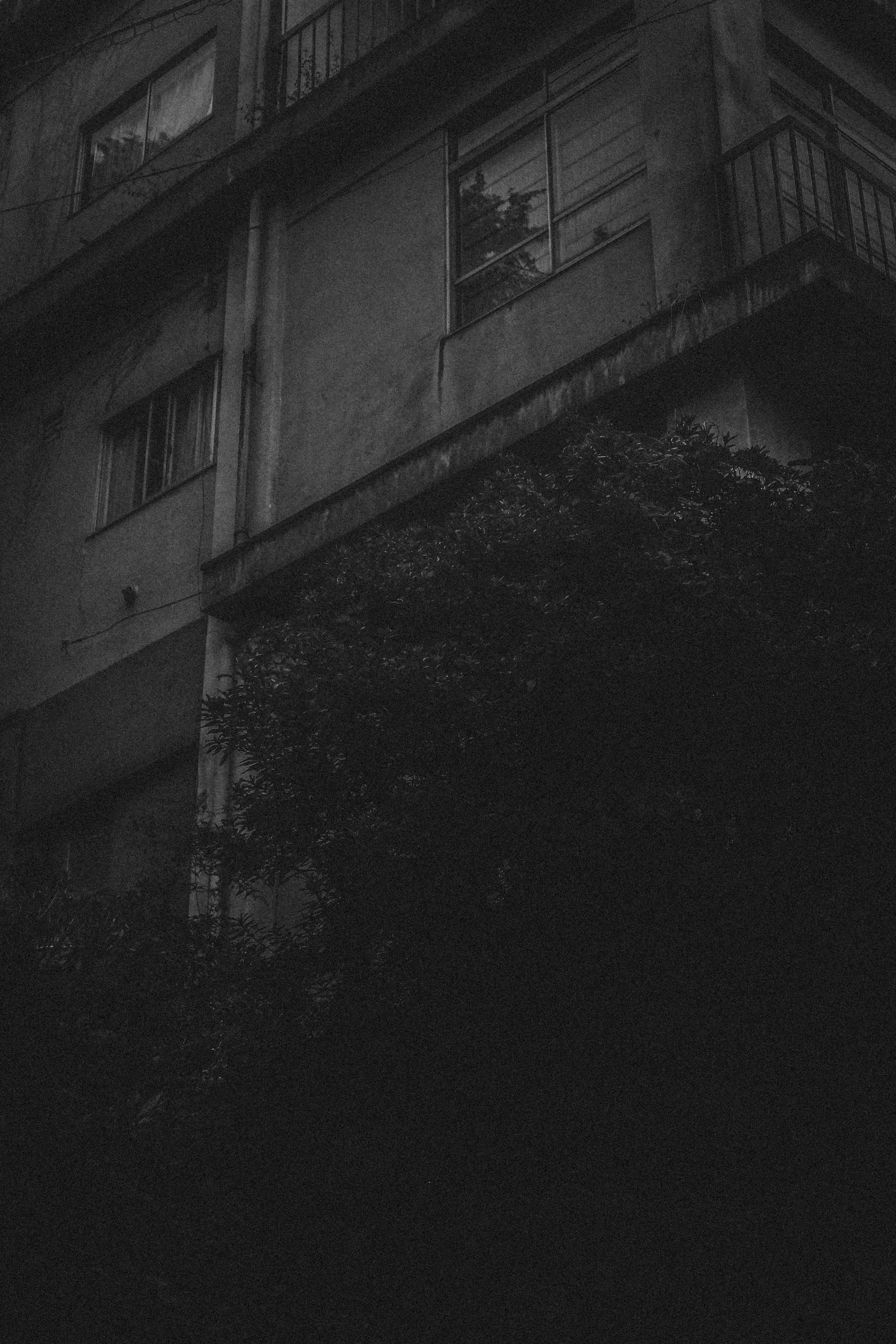 Kyoto Night Adventures-6.jpg