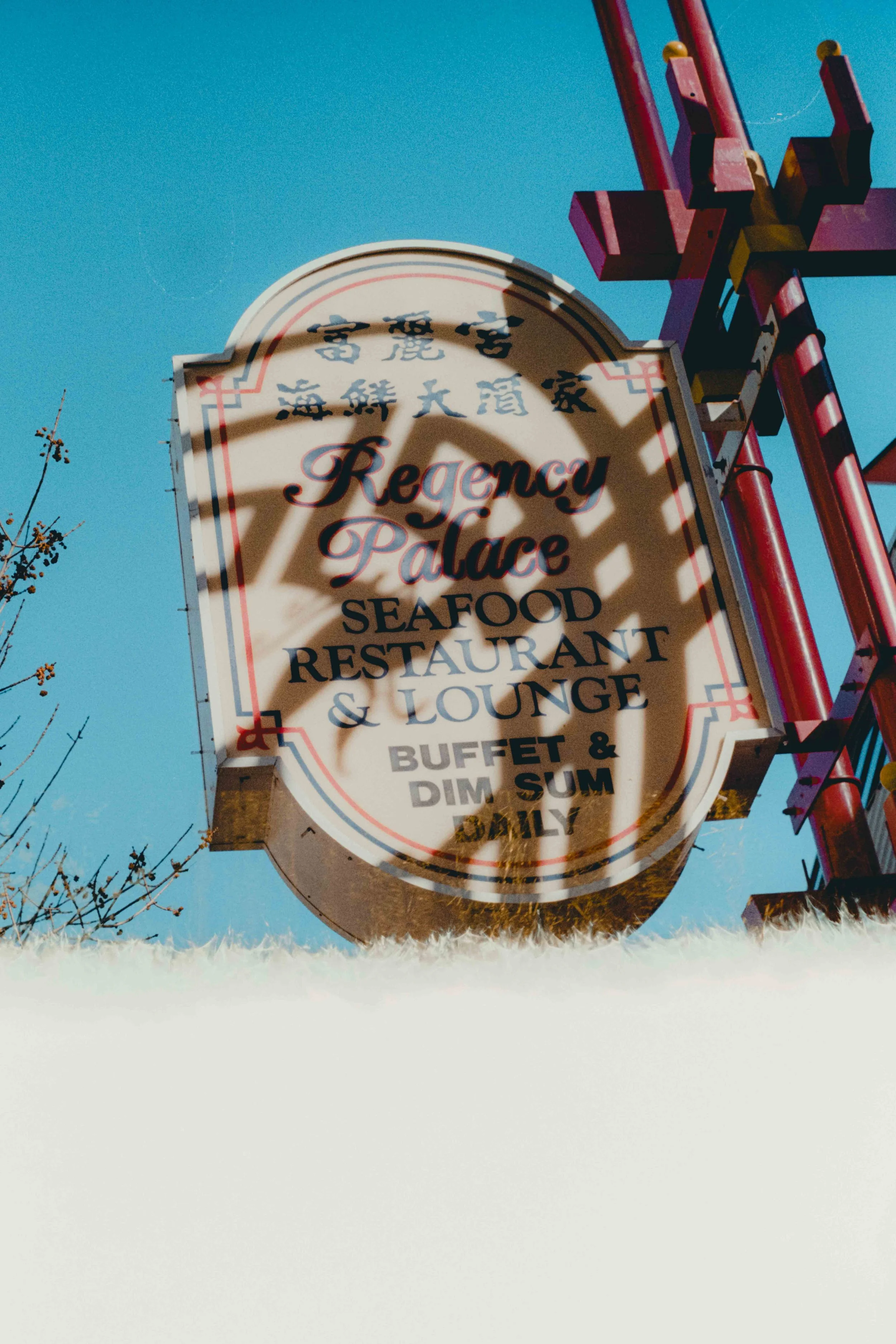 Alcove March Photo Walk Film-1.jpg