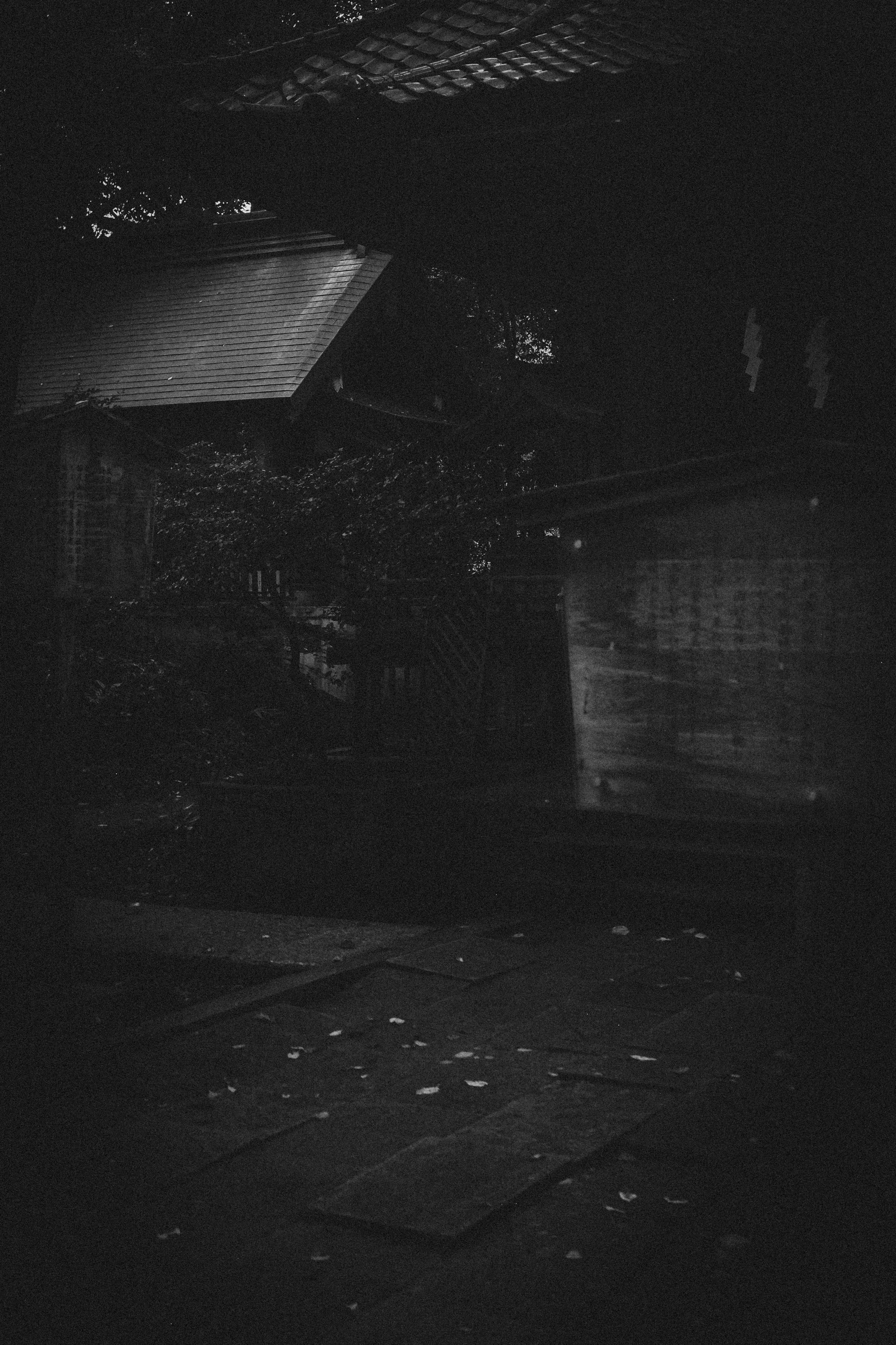 Kyoto Night Adventures-18.jpg