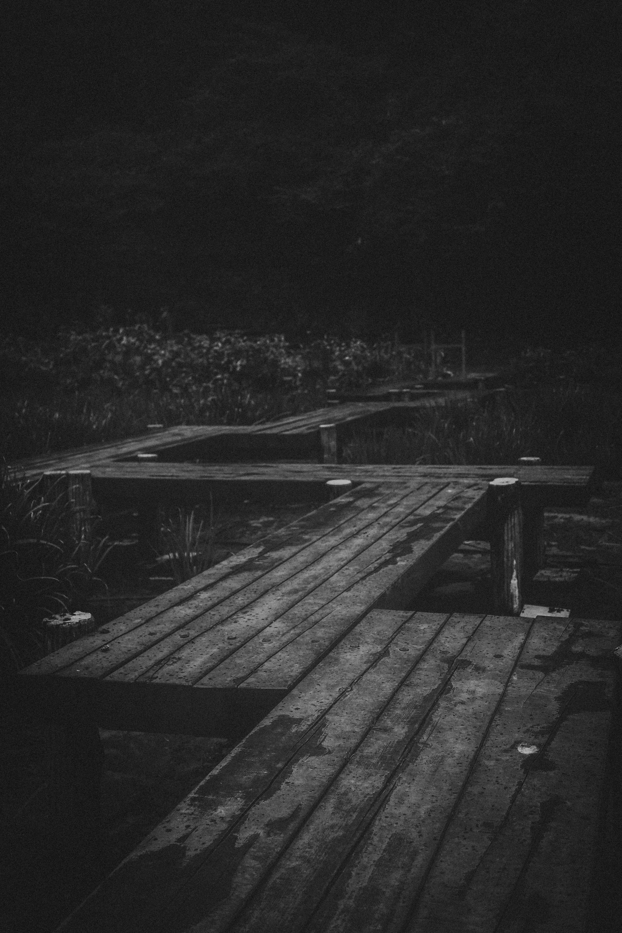 Kyoto Night Adventures-9.jpg