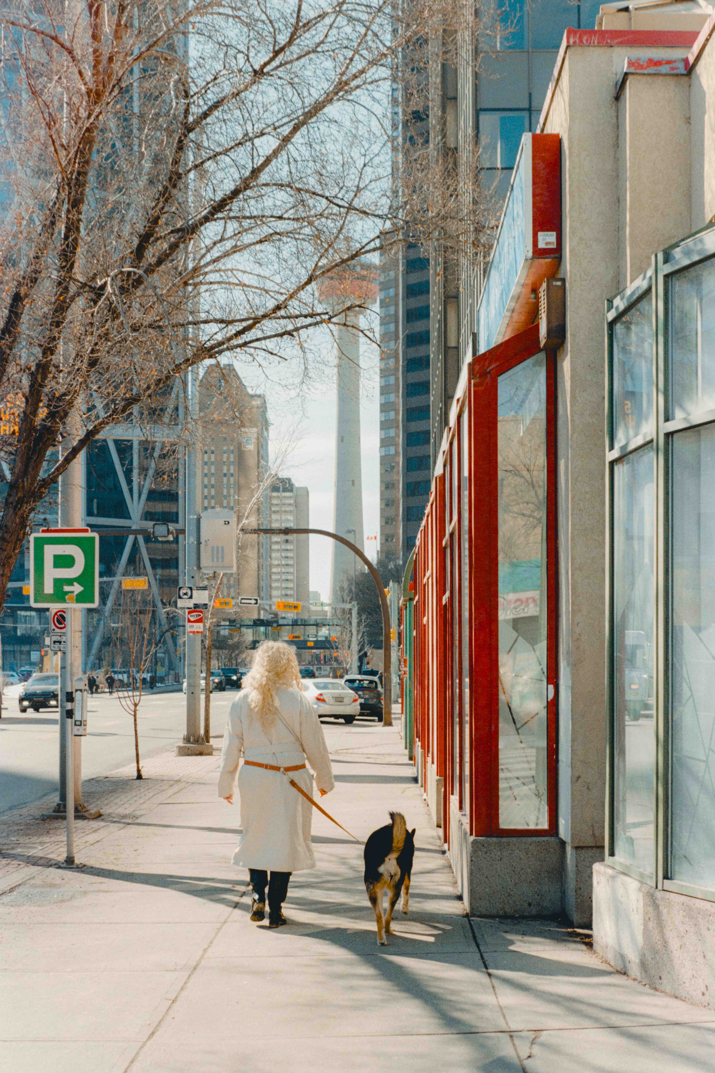 Alcove March Photo Walk Film-7.jpg