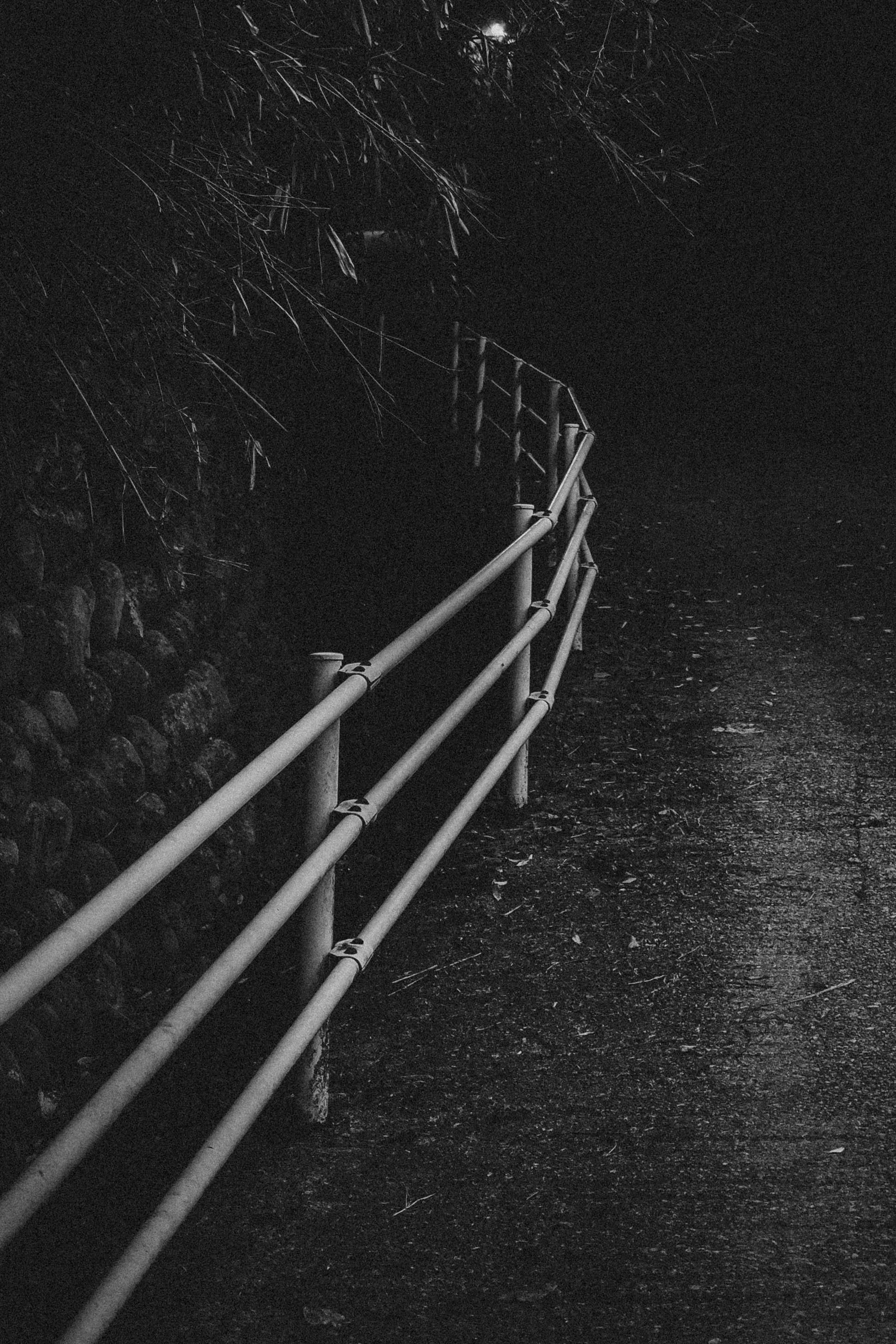 Kyoto Night Adventures-4.jpg