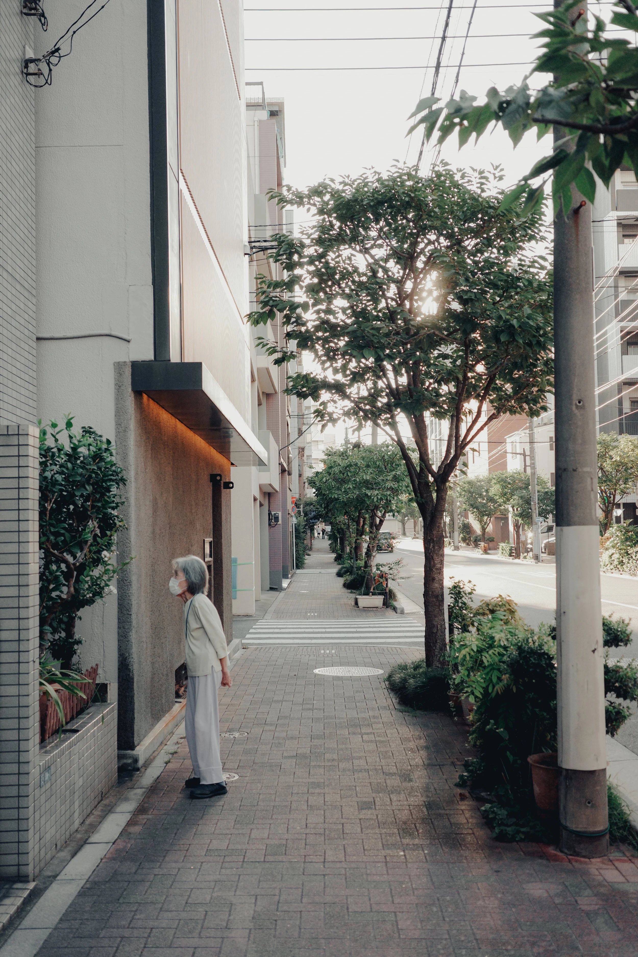 Japan Sept 23-10.jpg