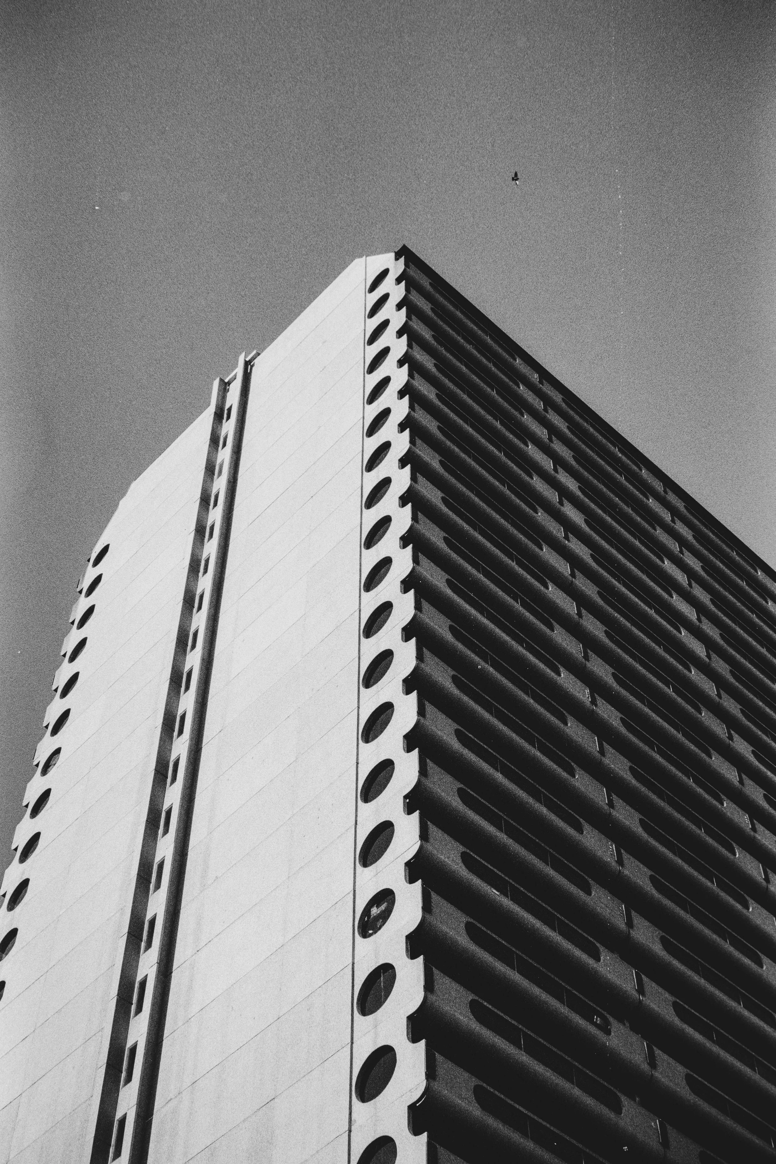 Downtown 35mm Sept 2024-14.jpg