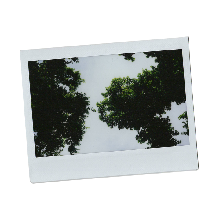 jwcoteartist_Instant Italy_40.png