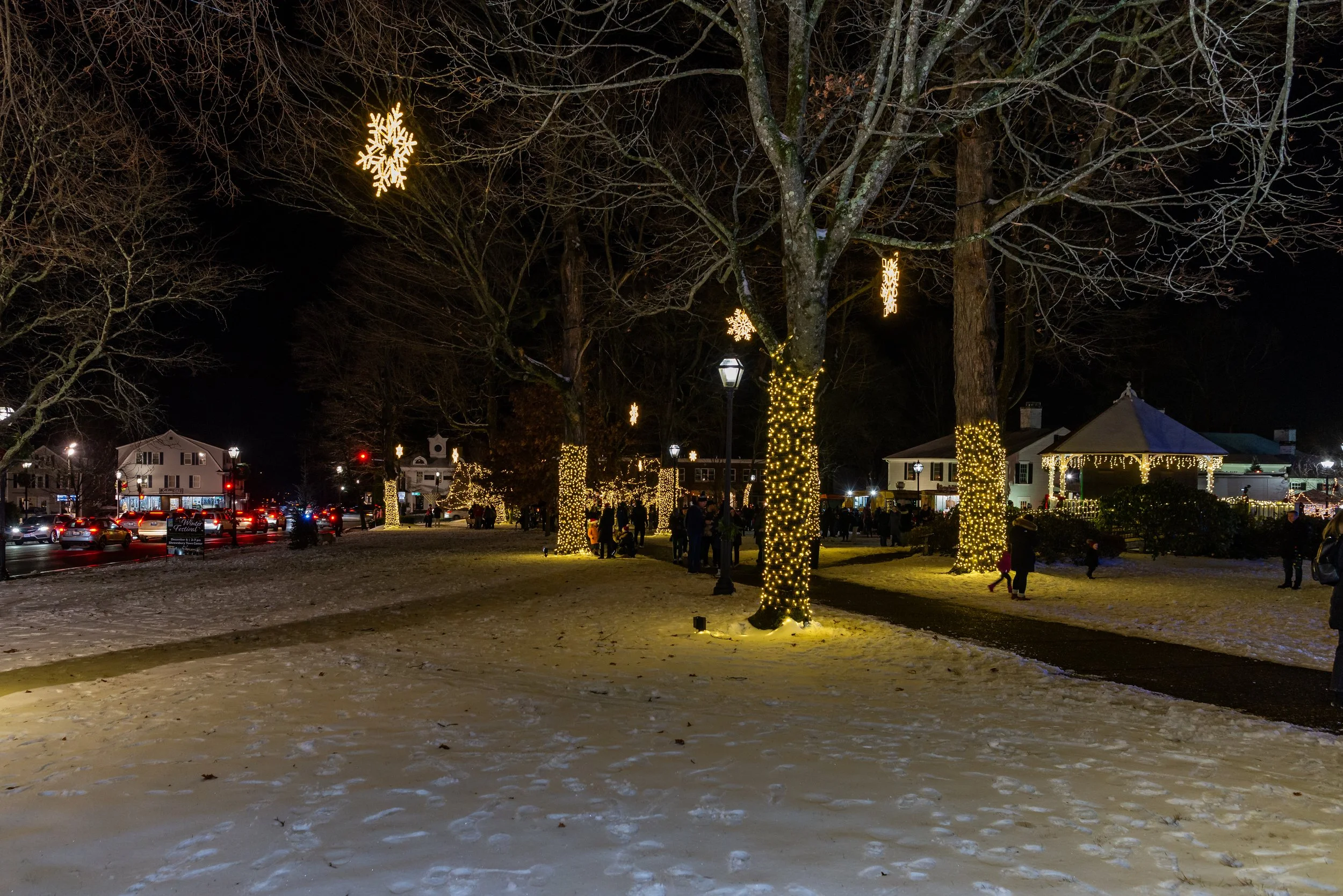 _D609511.JPG