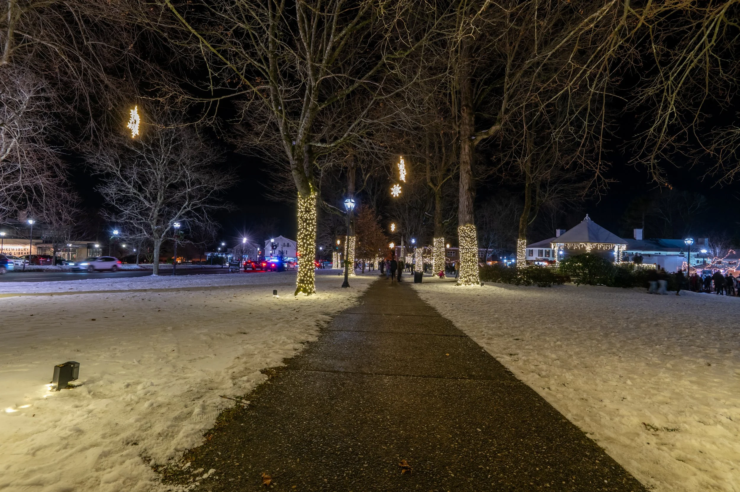 Z62_7329-HDR.JPG