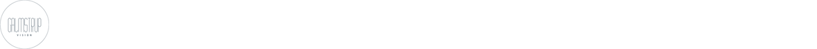 Vision_small_lhs.png