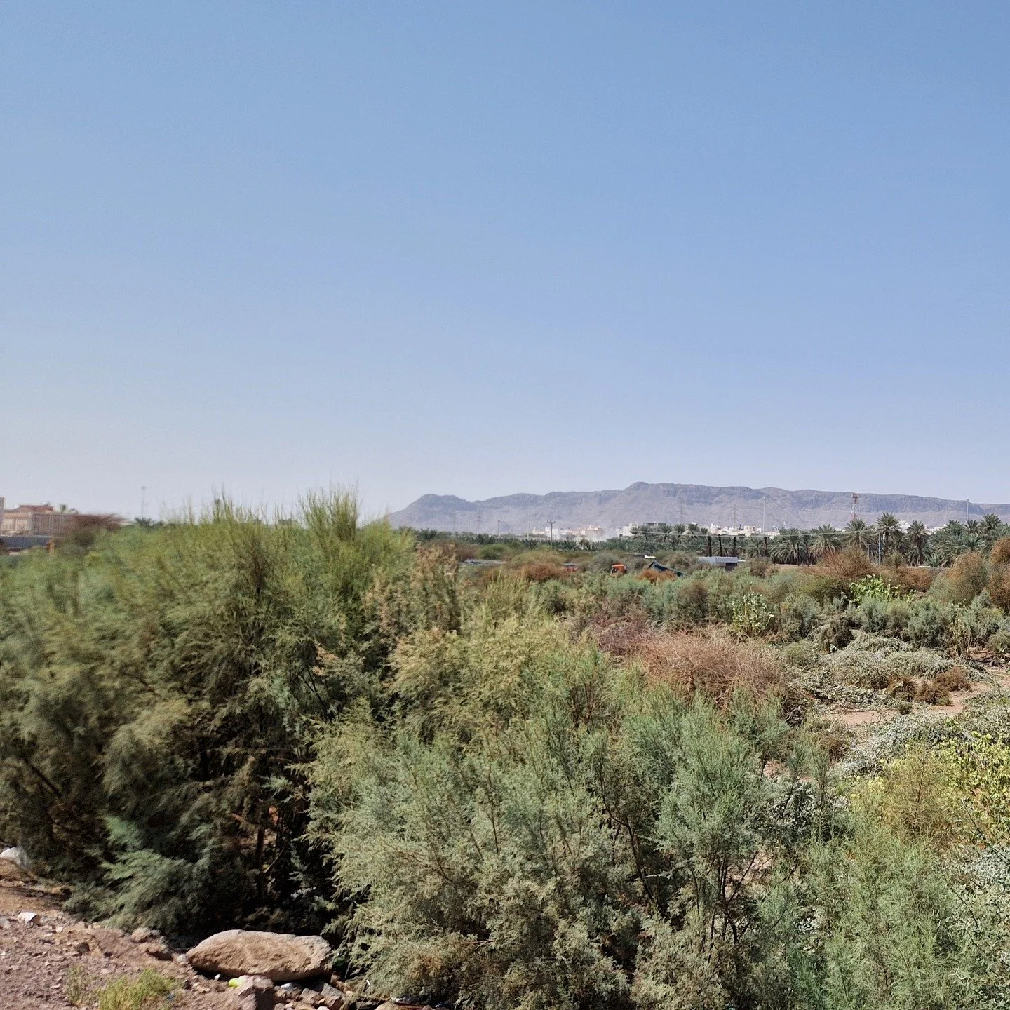 Urban Heritage &amp; Conservation, Museums &amp; Cultural Buildings was key across our work in 2025. It was a busy year with great assignments and welcoming new wonderful colleagues into our studio. 

🏰 🏰 🏰 🏰 Four Castles in Ireland and Saudi on 