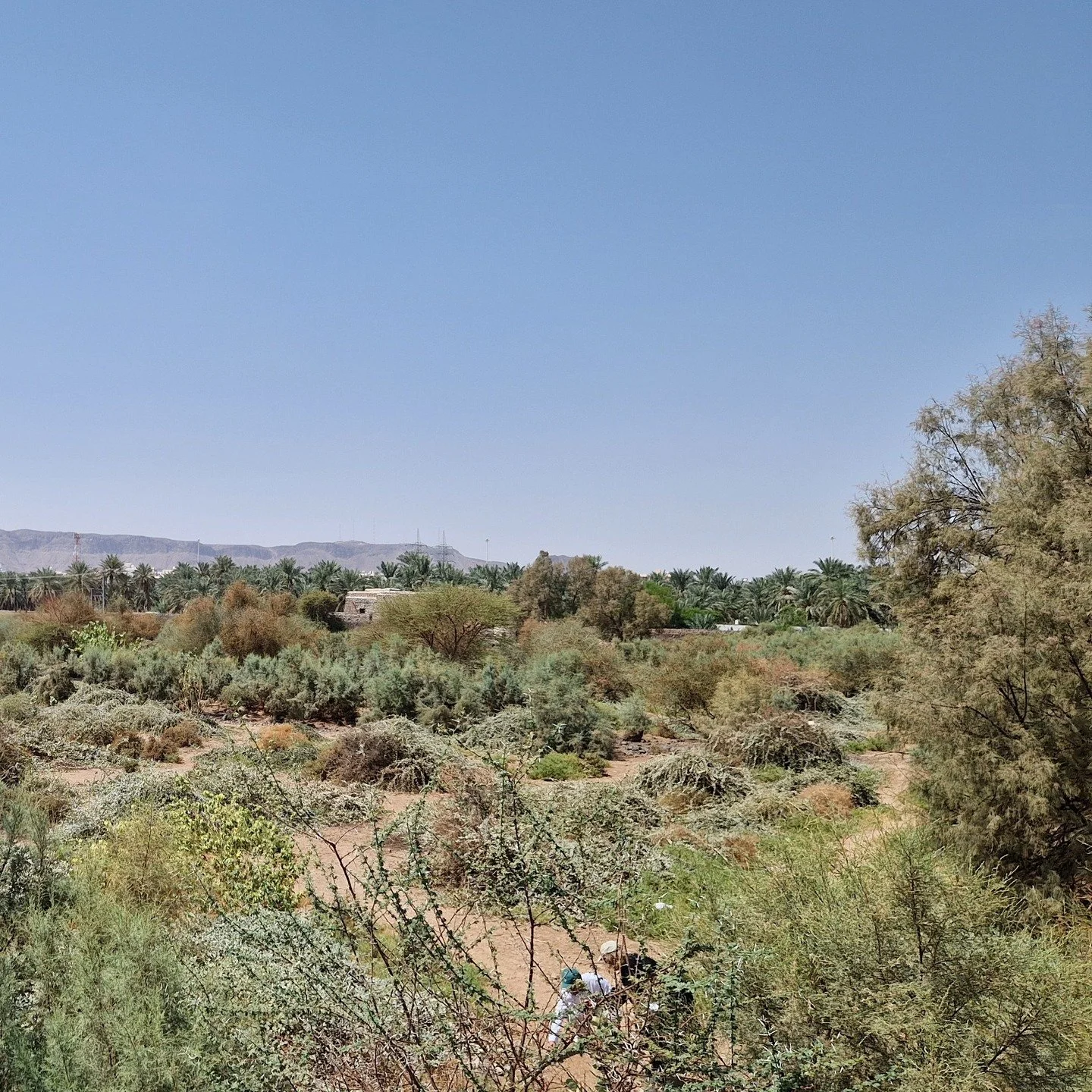 Urban Heritage &amp; Conservation, Museums &amp; Cultural Buildings was key across our work in 2025. It was a busy year with great assignments and welcoming new wonderful colleagues into our studio. 

🏰 🏰 🏰 🏰 Four Castles in Ireland and Saudi on 