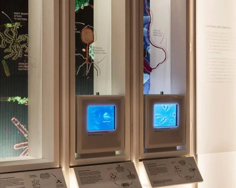 Galmstrup_ Science Museum - SUPERBUGS_136_Culture / Museum / Heritage / Community / Exhibition - Art – Gallery