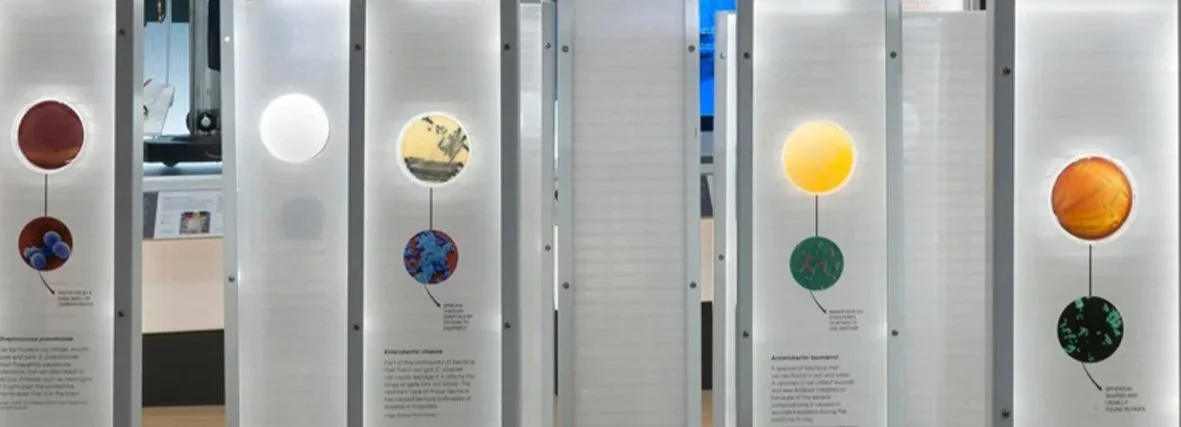 Galmstrup_ Science Museum - SUPERBUGS_139_Culture / Museum / Heritage / Community / Exhibition - Art – Gallery