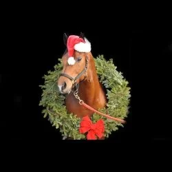 Episode 25: Another Snuffy's Christmas