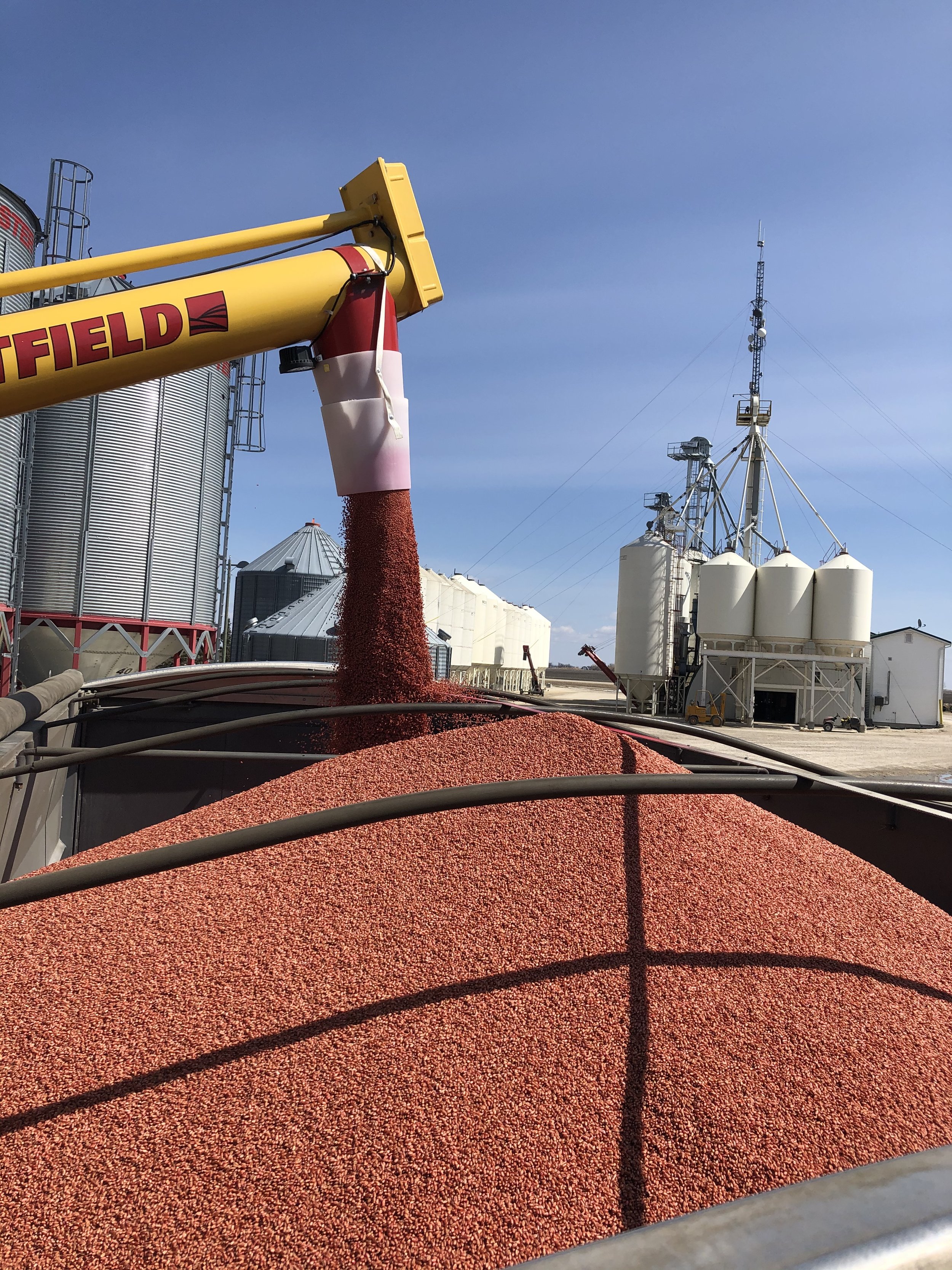 Protect Your Genetic Investment