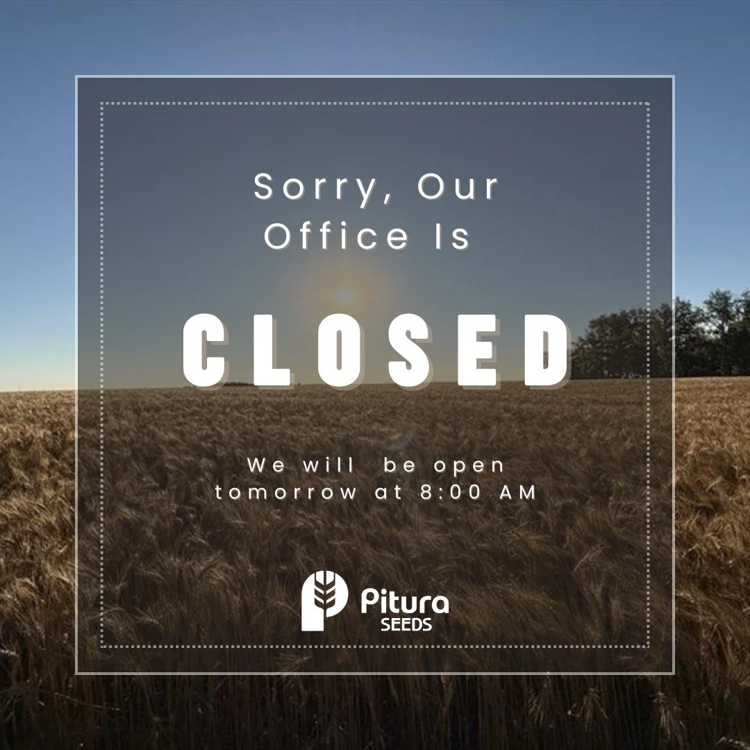Our office is closed today.  We hope everyone has a safe and enjoyable long weekend, and we'll be back to regular business hours on Tuesday, August 4th.
#longweekend #officeclosed