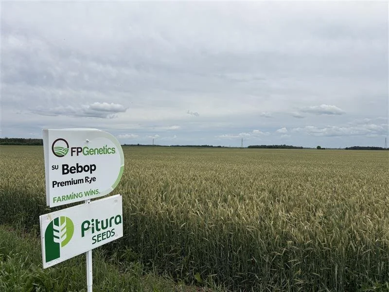 Do Fall Cereals Fit Your Farm? 
