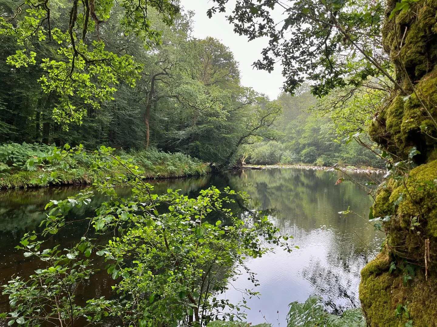 Many people tell me they struggle to connect with the land in England.

That nature is depleted and there aren&rsquo;t enough wild spaces.

It makes me sad to hear this. 

Especially as helping people find connection with the more-than-human world is