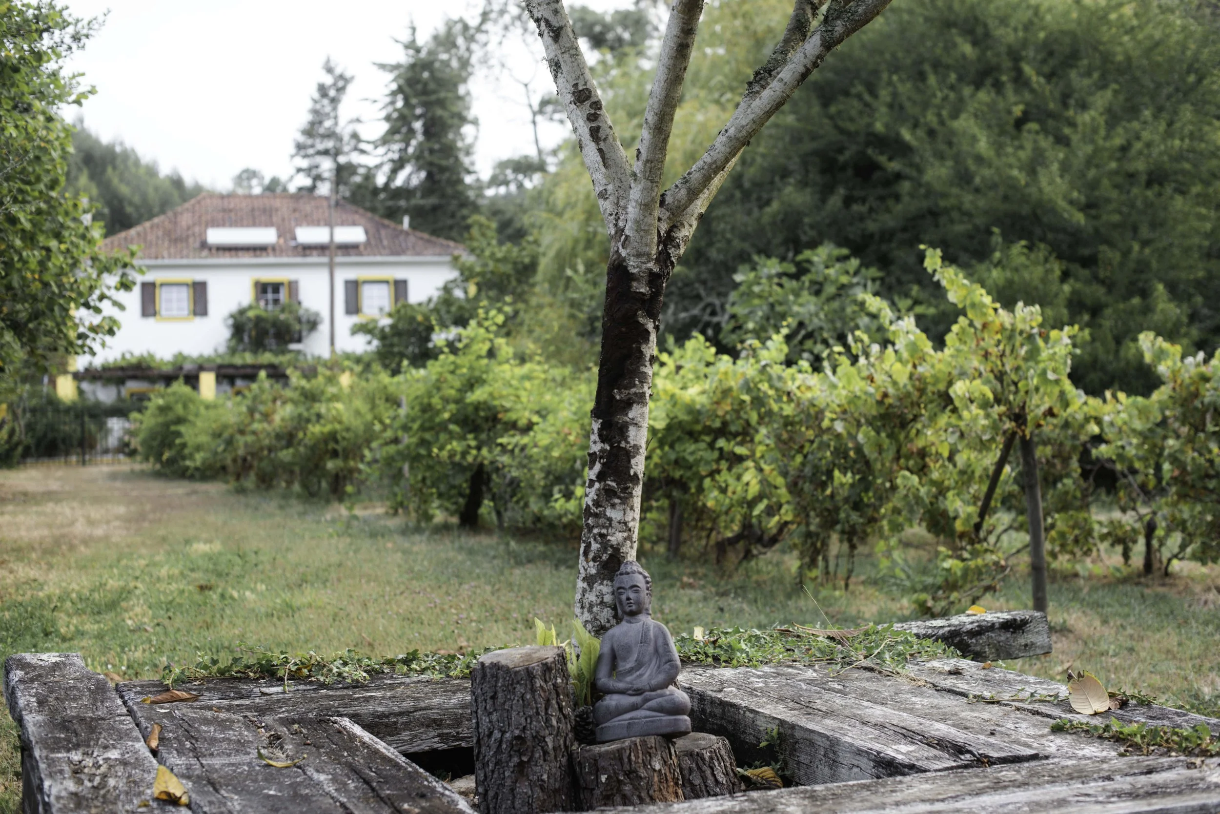 A small Buddha statue sitting on a tree stump amidst wood planks outdoors in a garden, with trees, bushes, and a house in the background.