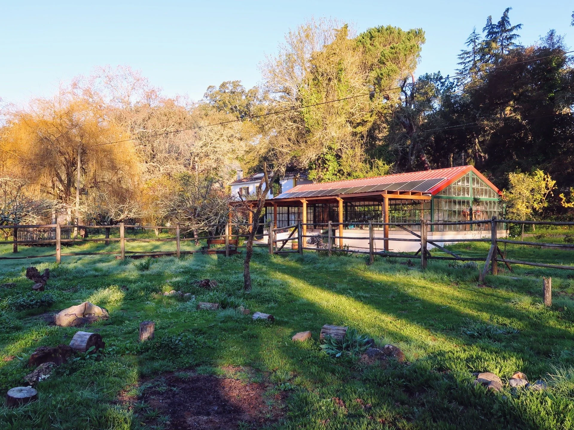 A sunny farm scene with a green house with solar panels on red roof, surrounded by trees and a wooden fence, with grass and cut logs in the foreground.