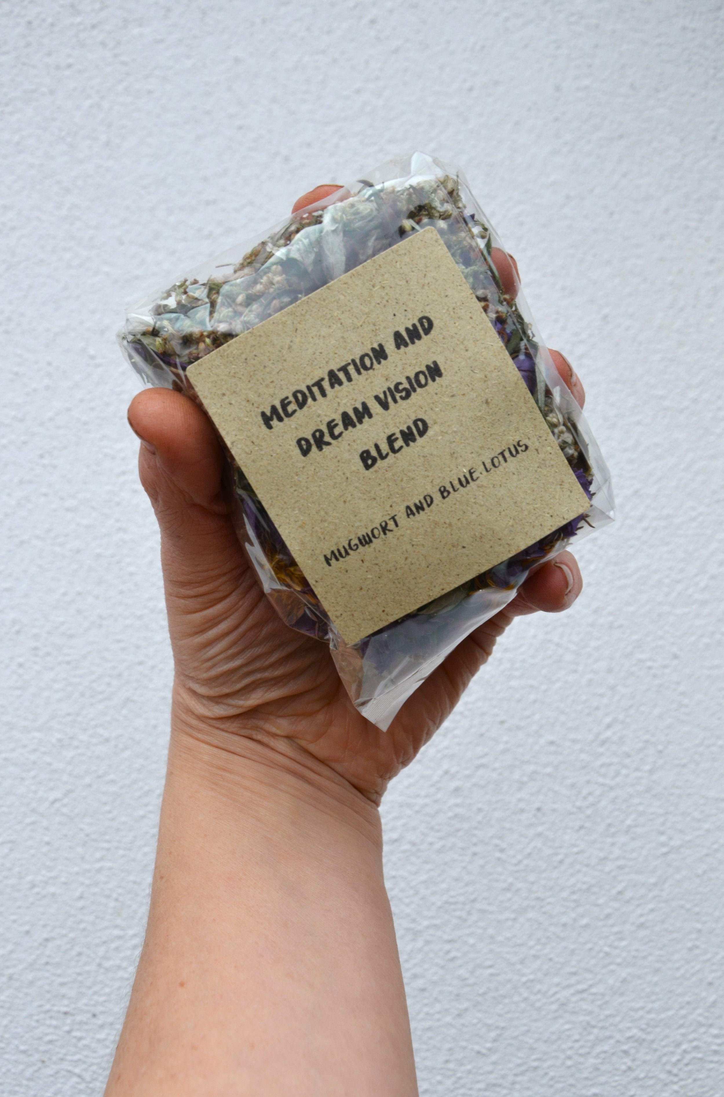 Meditation and dream (1).JPG