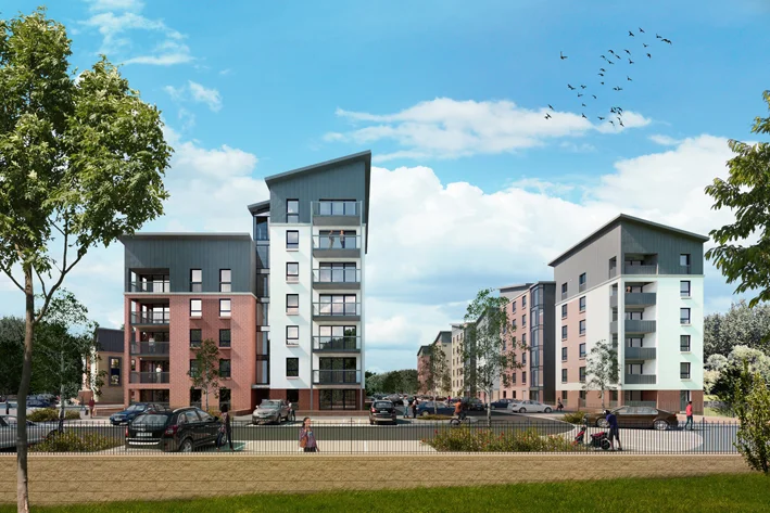 Oatlands Regeneration
